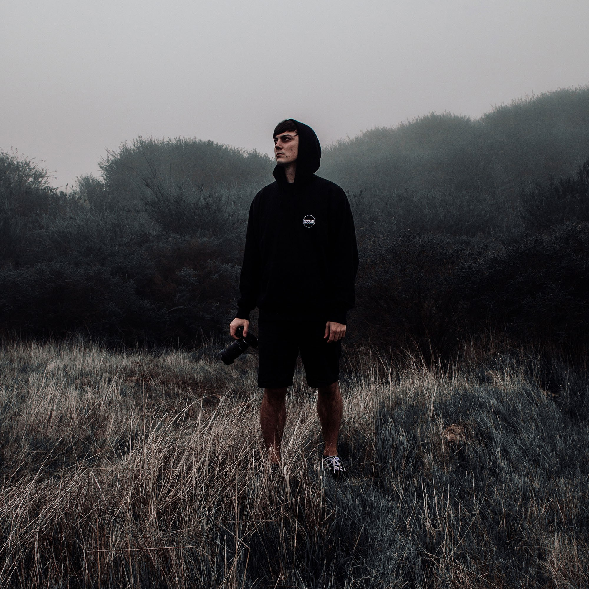 Contact. SASHA FREEMIND