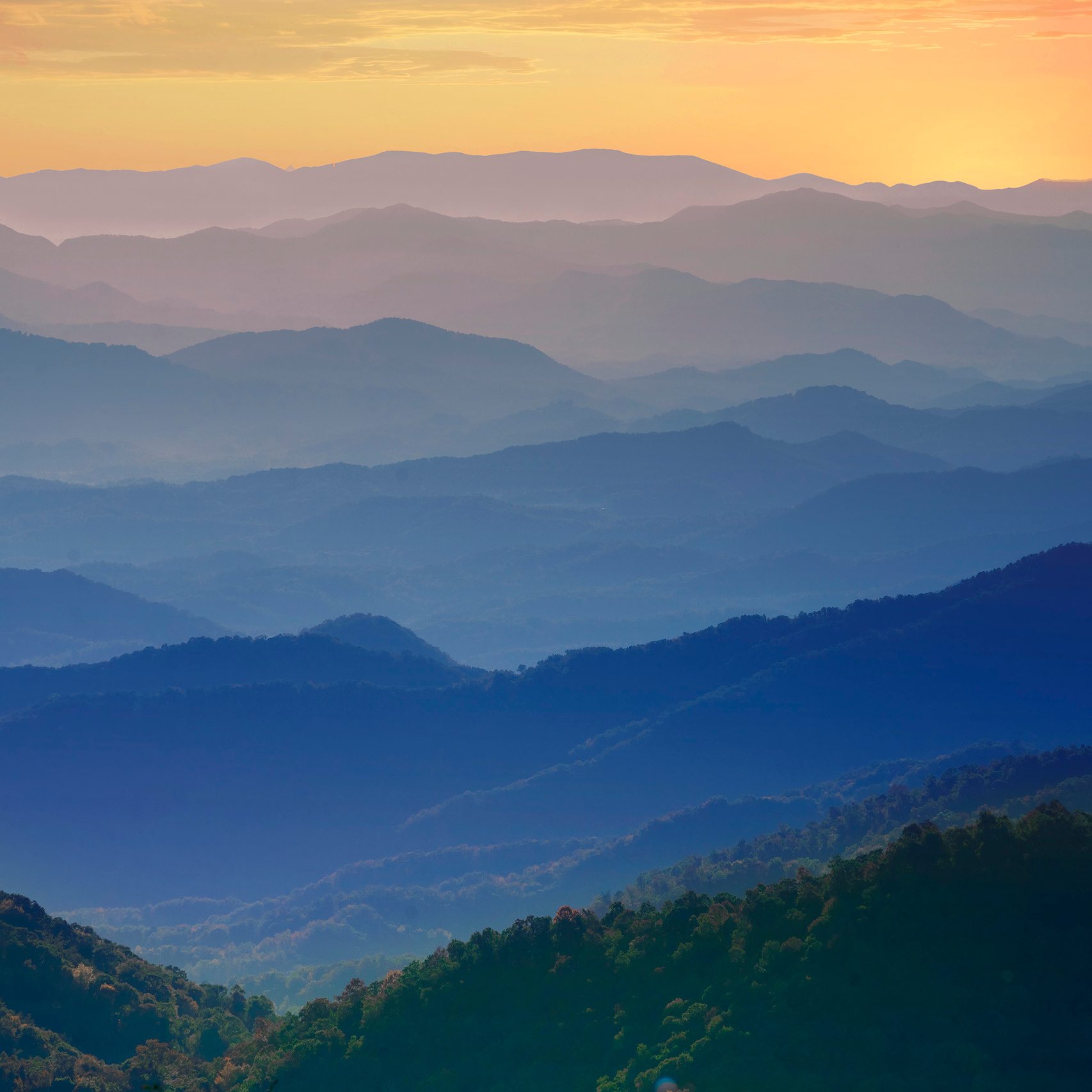 Photographer Irina Kozhemyakina. Houston