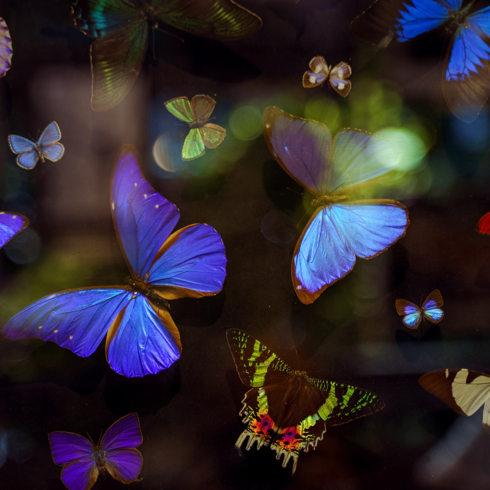 Photographer in Georgia — Stanislava Novgorodtseva