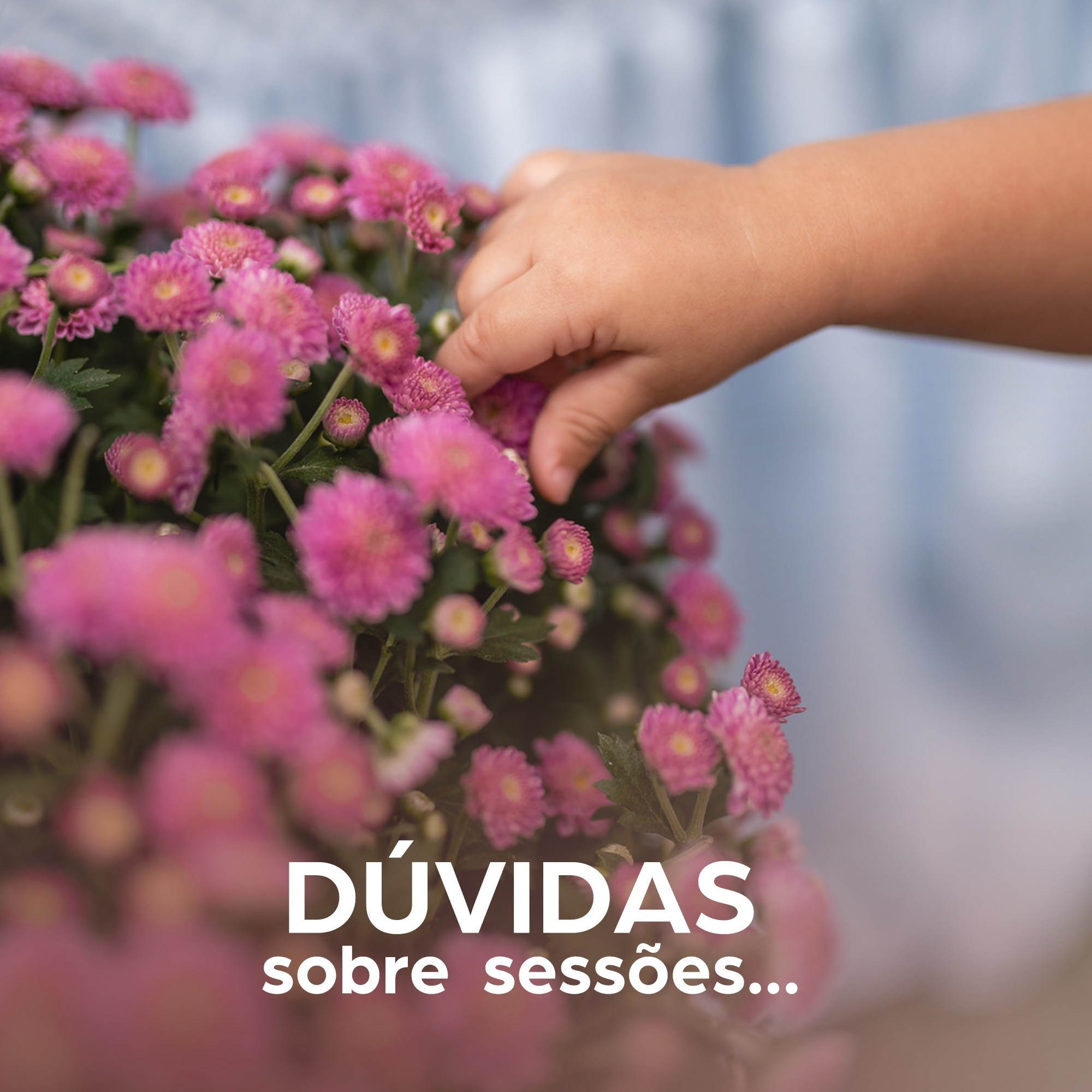 Dúvidas Comuns | FAQ — Auê Fotografia Juiz de Fora. Auê Fotografia Infantil e de Família em Juiz de Fora | Myriani Maganin