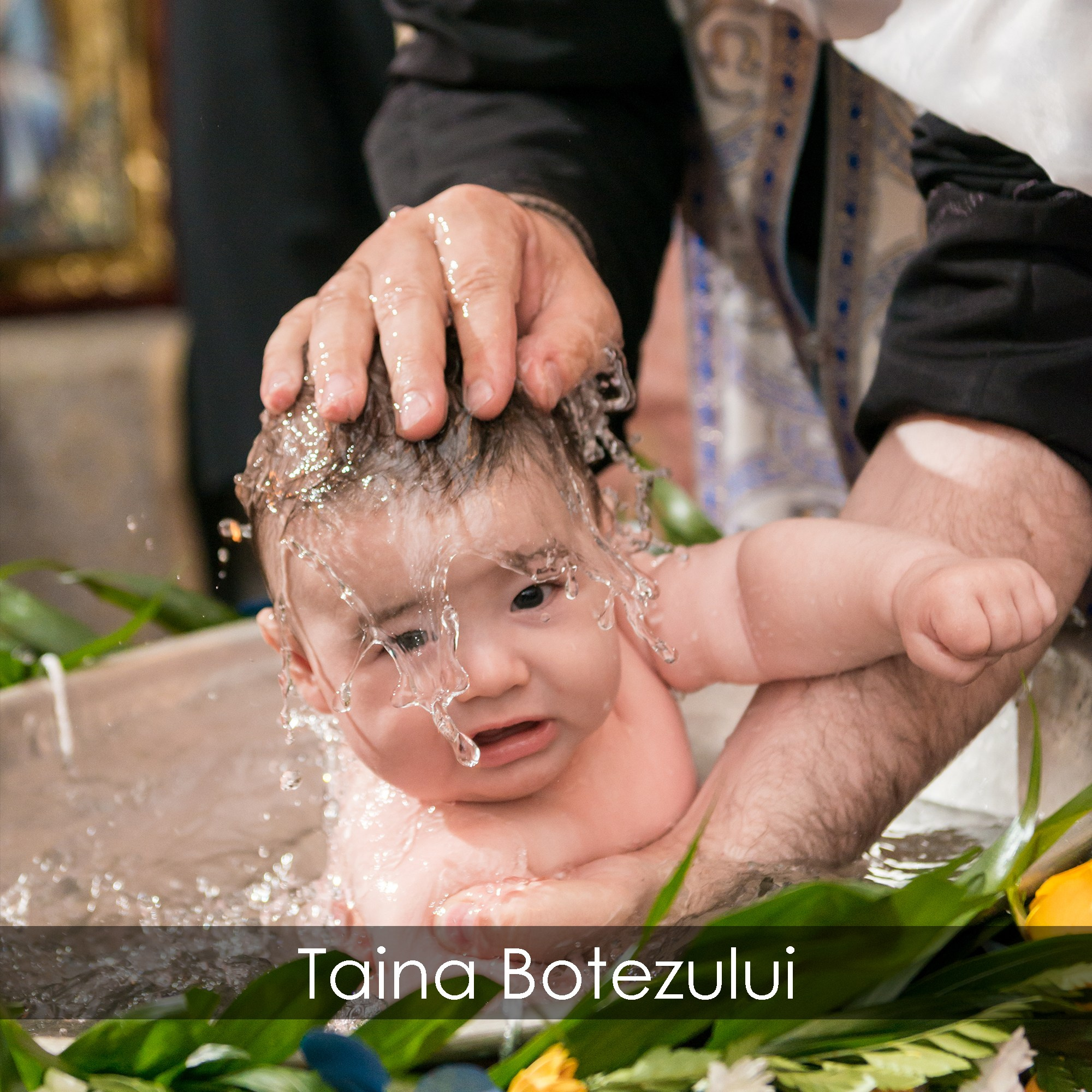 Fotograf eveniment Bogdan Palenciuc