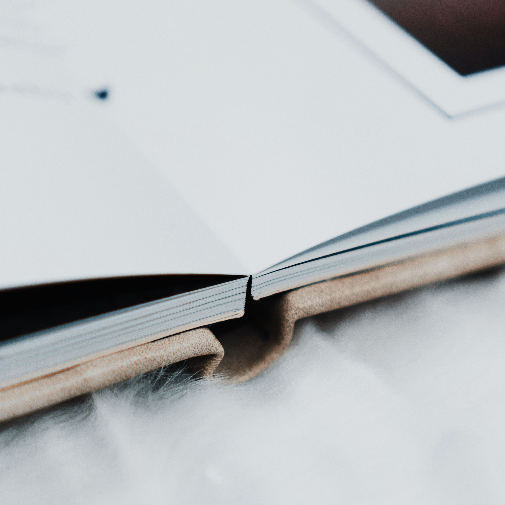 Prices and Info | Family Photographer in London and Kent