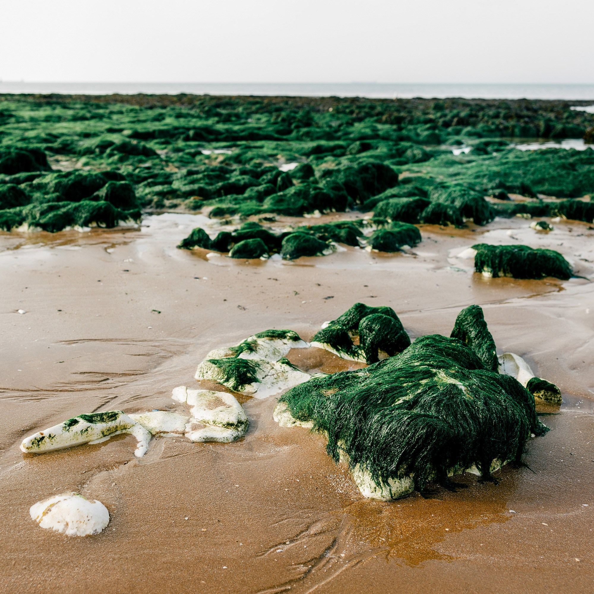 Prices and Info | Family Photographer in London and Kent