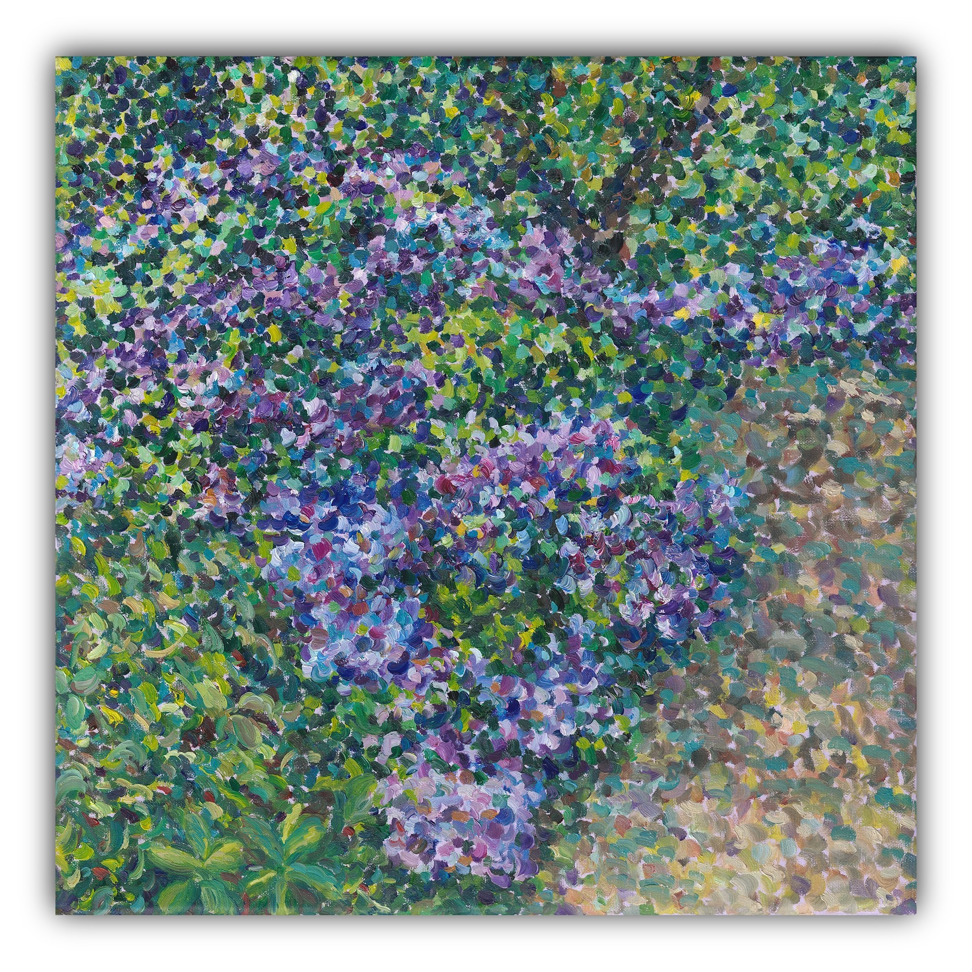 Hydrangeas, Christchurch Botanic Gardens. Evgeniia Bychina, painter