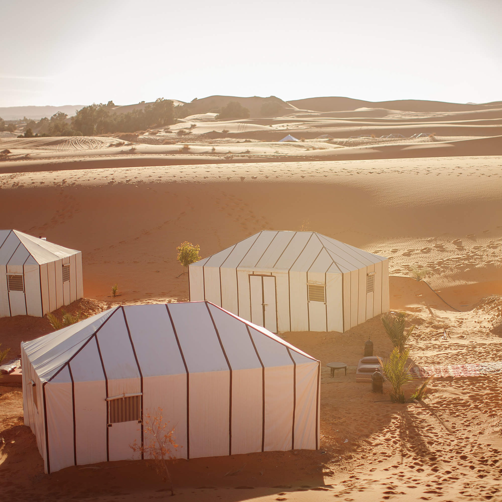 Марокко за 7 дней — Марракеш, Мерзуга, Урзазат и пустыня Сахара