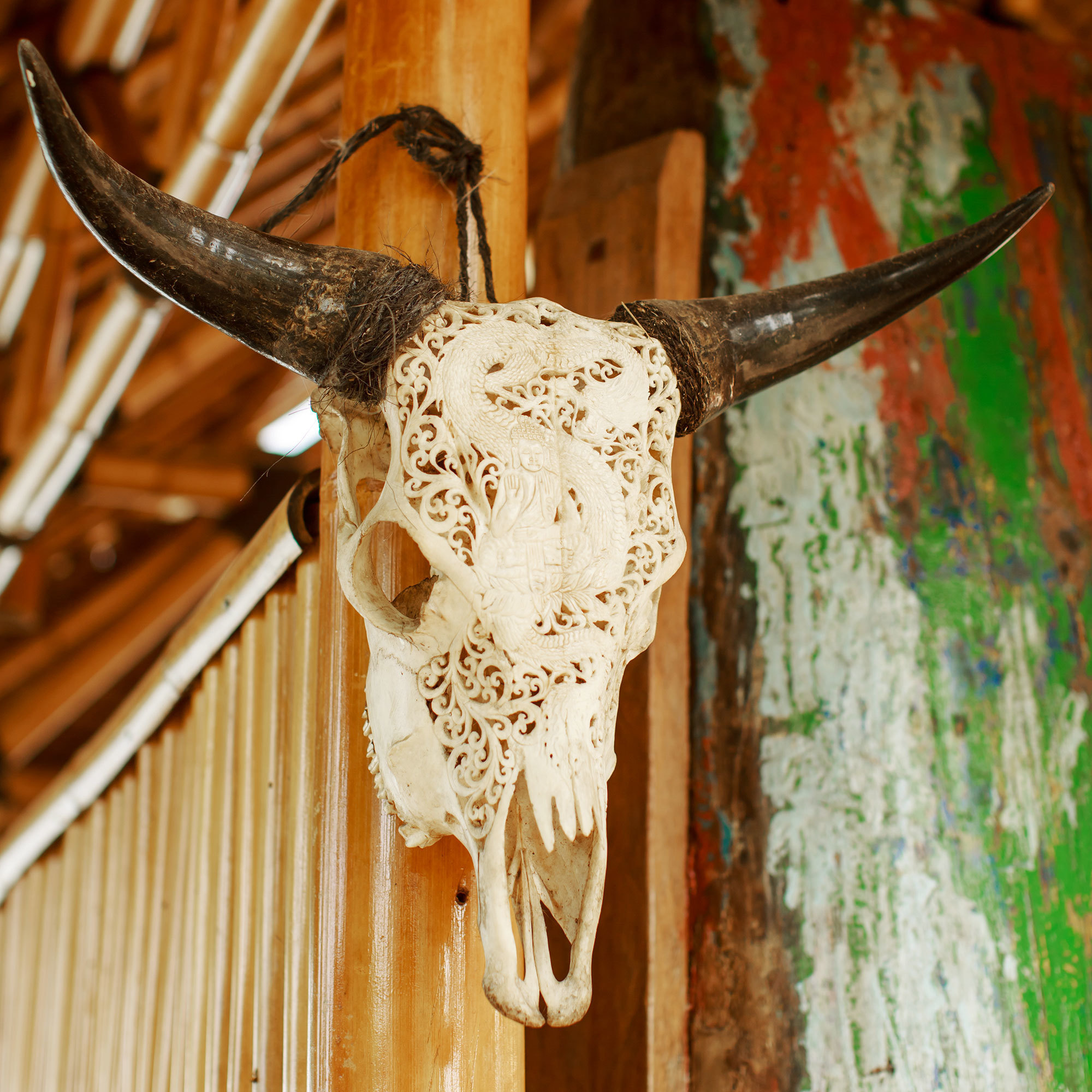 Bali - bazı fotoğraflar ve incelemeler içeren yerler