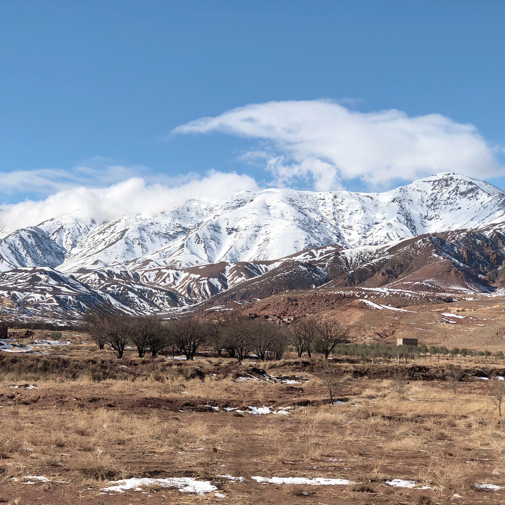 Марокко за 7 дней — Марракеш, Мерзуга, Урзазат и пустыня Сахара