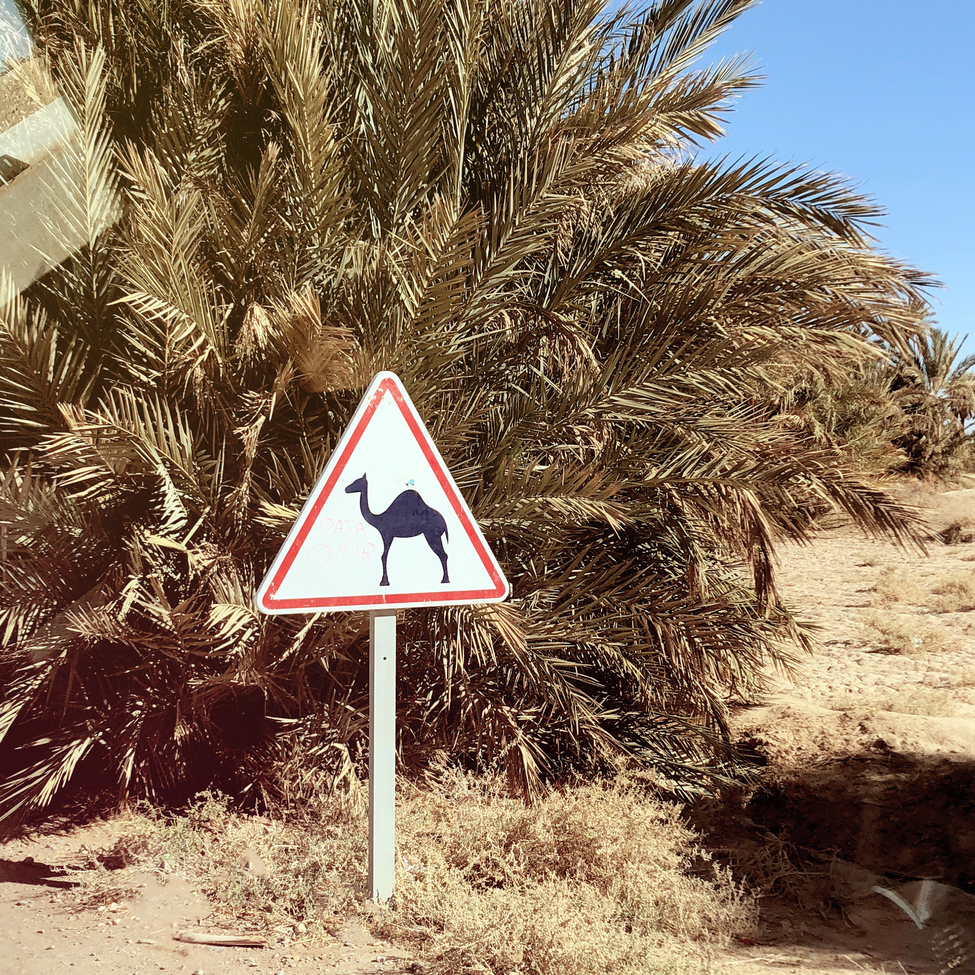 Марокко за 7 дней — Марракеш, Мерзуга, Урзазат и пустыня Сахара