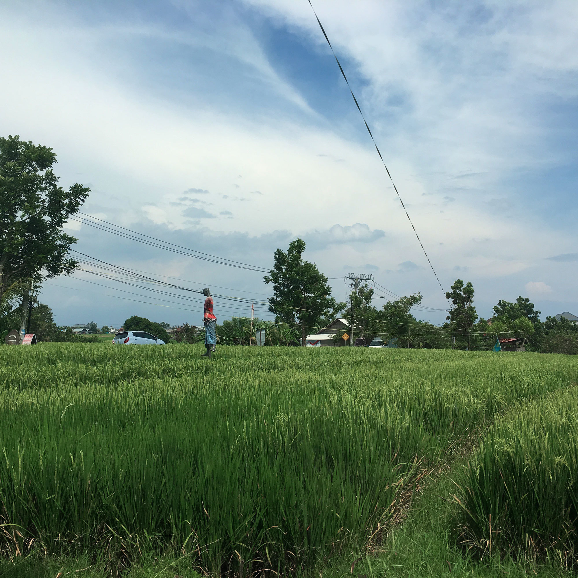 Bali - bazı fotoğraflar ve incelemeler içeren yerler