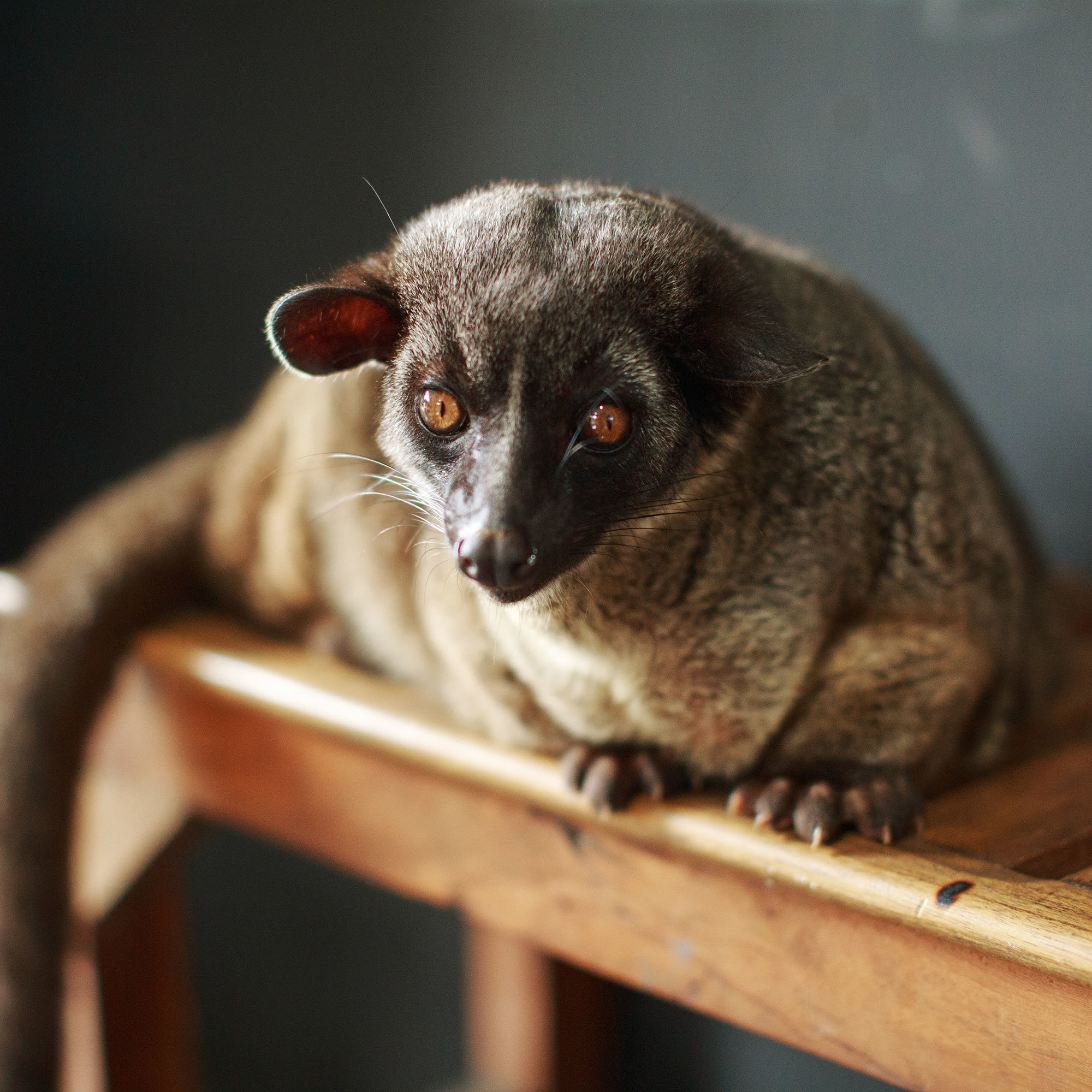 Bali - bazı fotoğraflar ve incelemeler içeren yerler