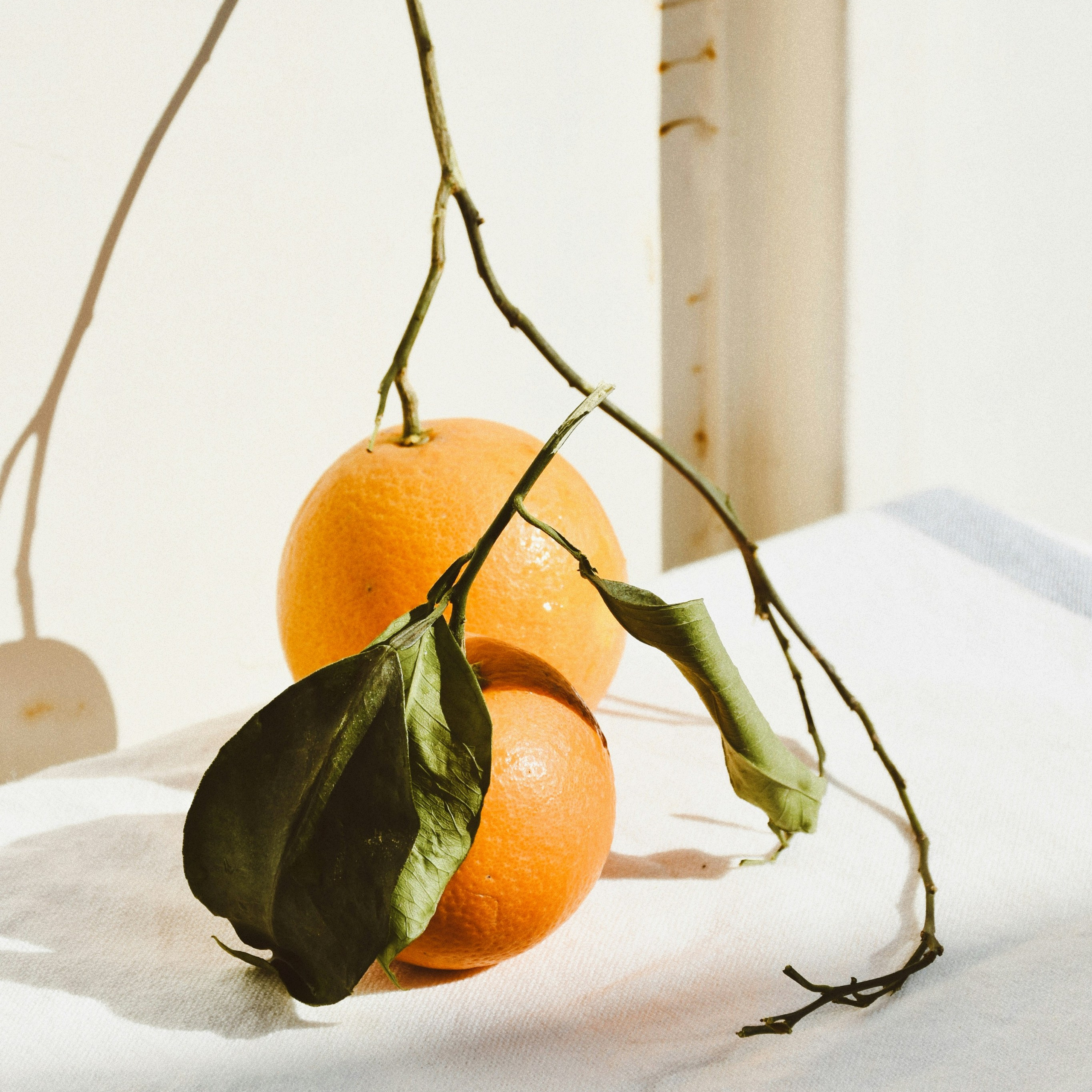 César Sifuentes - Fotógrafo