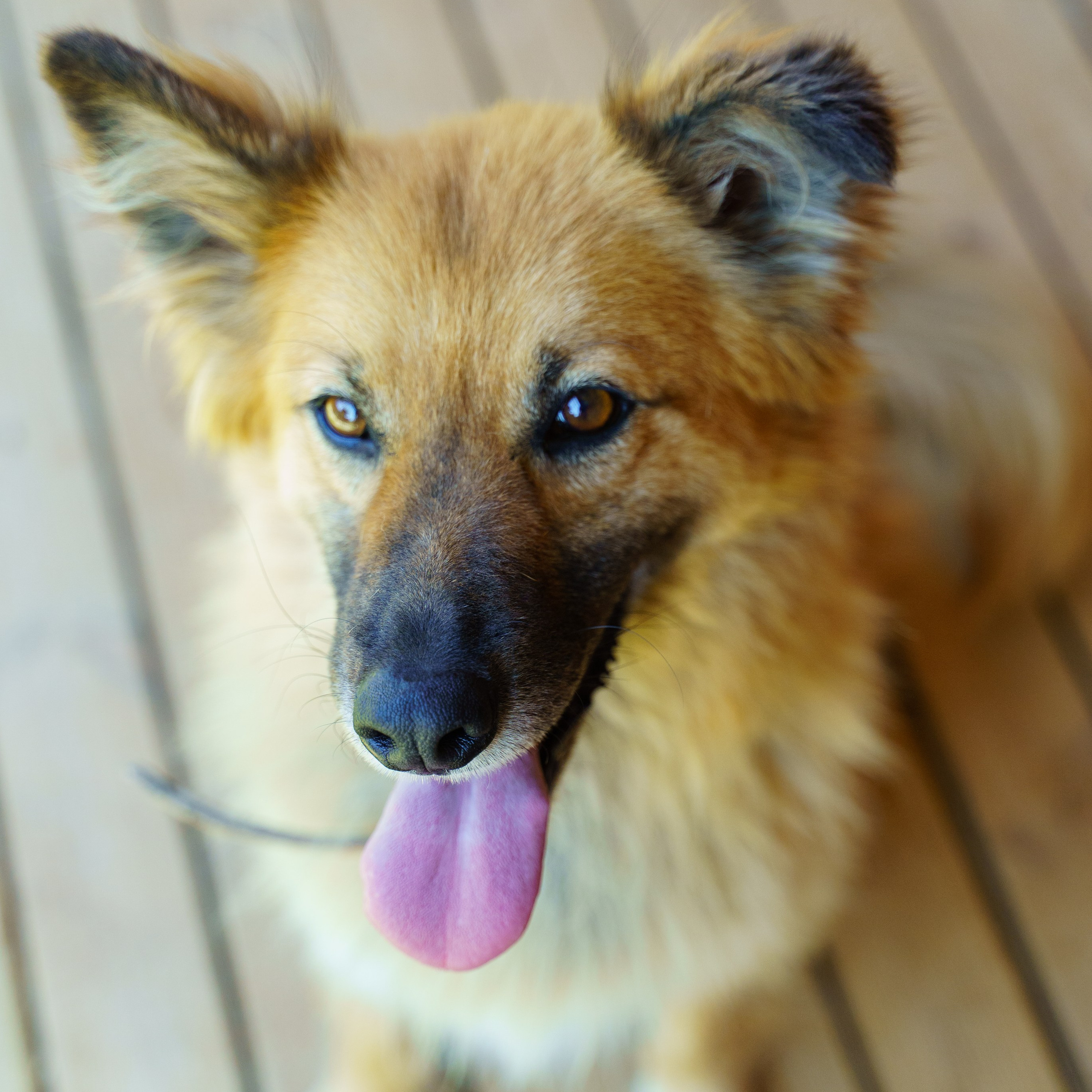 Сім’я кожному. Family photographer in Kiev Natalia Shkavron