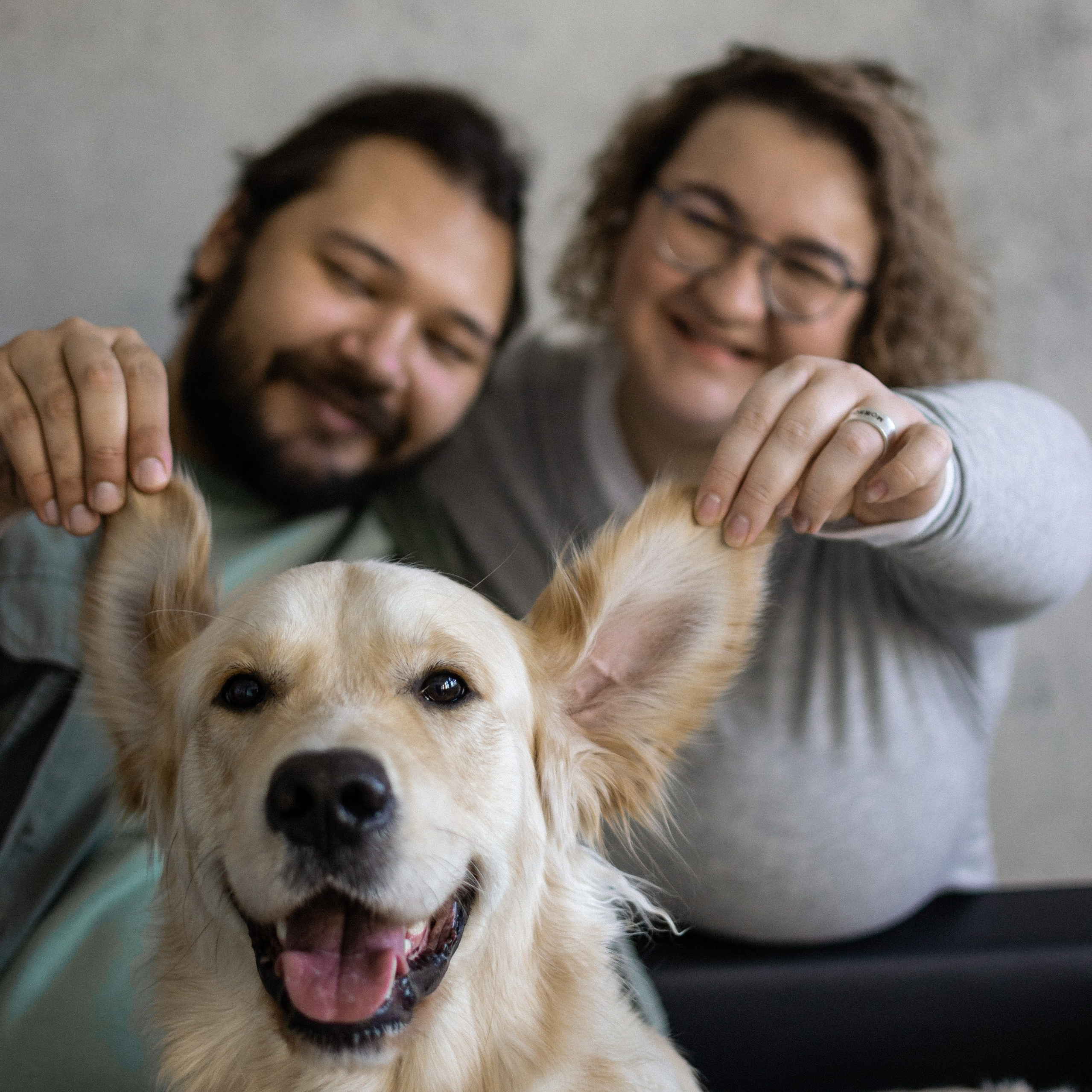 Services. Photographe animalier à Paris Anna Pereira