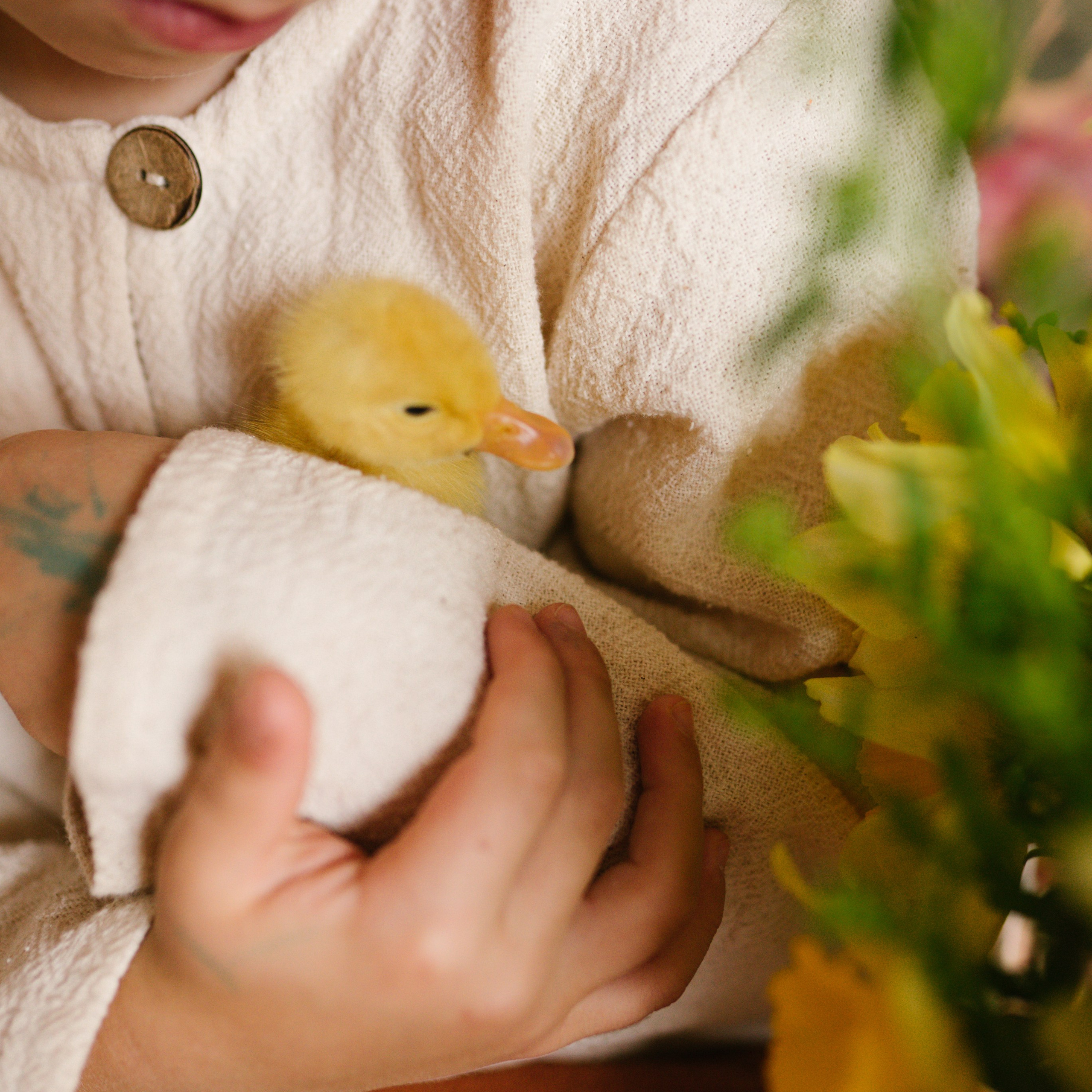 Ce Ofer: Artă, Conectare și Sprijin | Mădălina Beda. Madalina Beda- Artist vizual, fotograf, doula la nastere, consultant babywearing Brasov si in toata tara