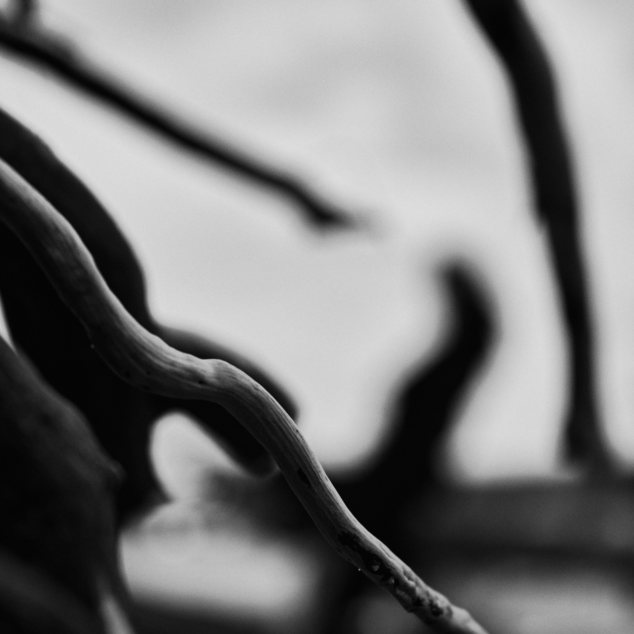 My inspirations. Kristina Chimbaraite — Conceptual Portrait Photographer in Europe