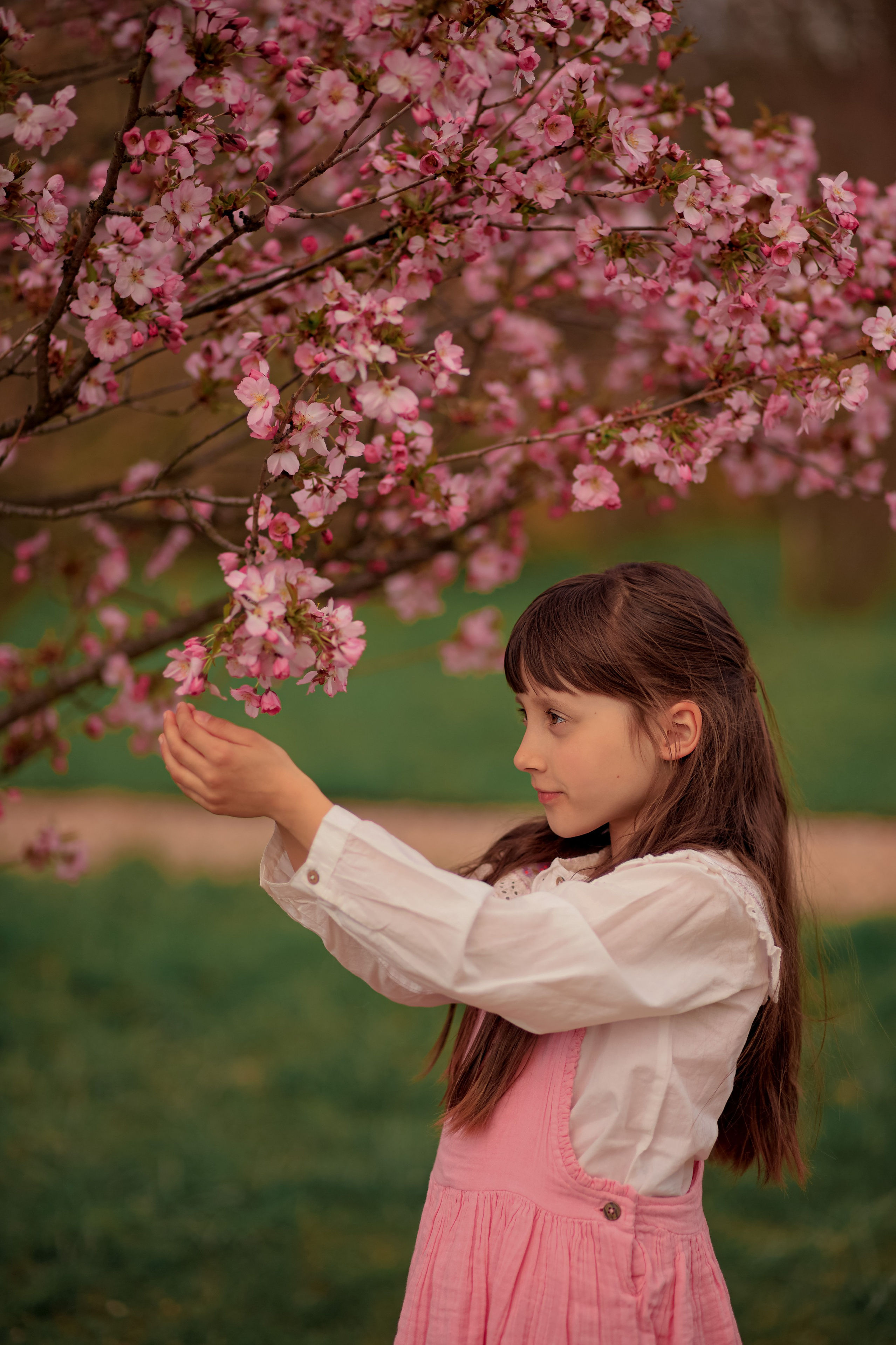ТОП 8 Місць для фотосесії у Вроцлаві. Сімейний фотограф Вроцлав - Анна Цуканова