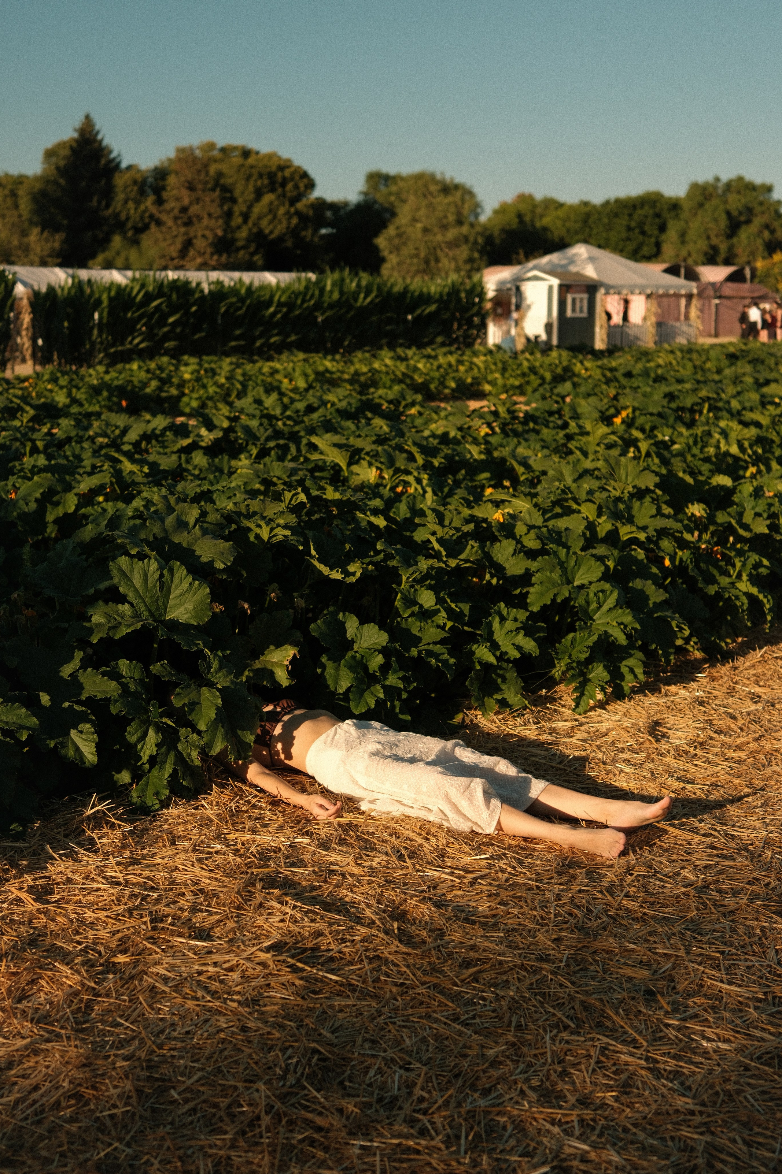 Prints. Mariia Ermakoava