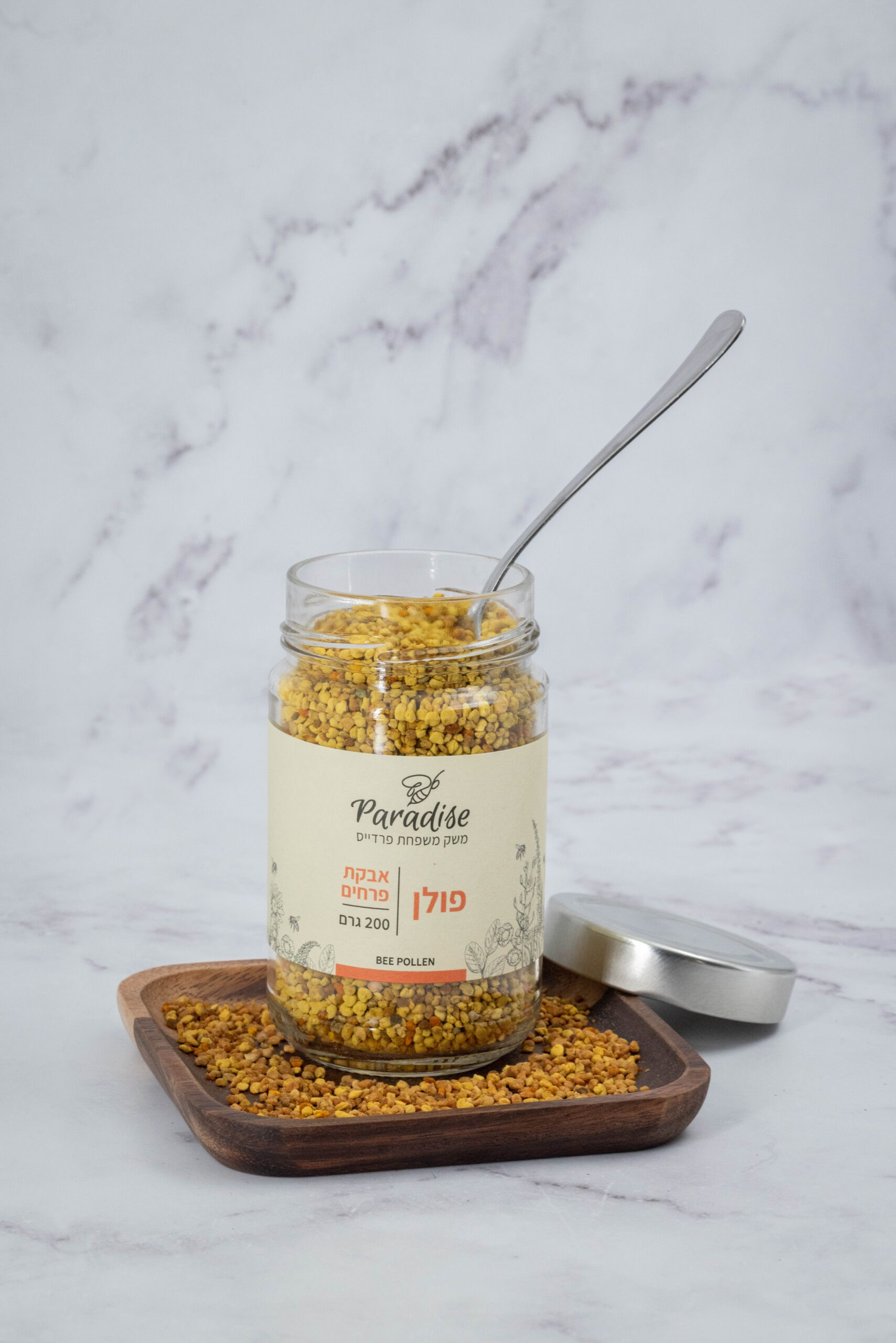 Noam Paradise Photographer