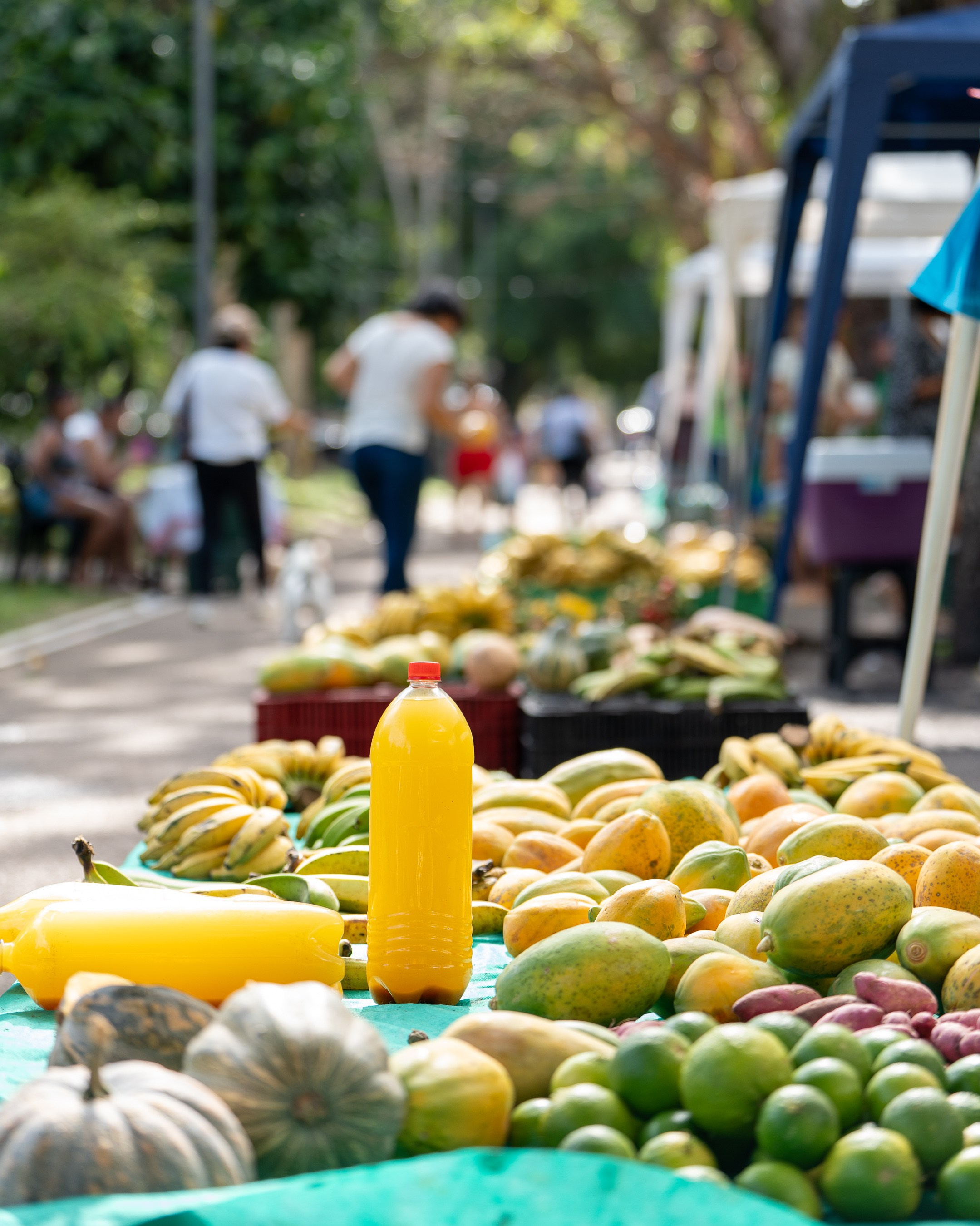 Manno Estúdio — Fotografia e vídeo em Belém