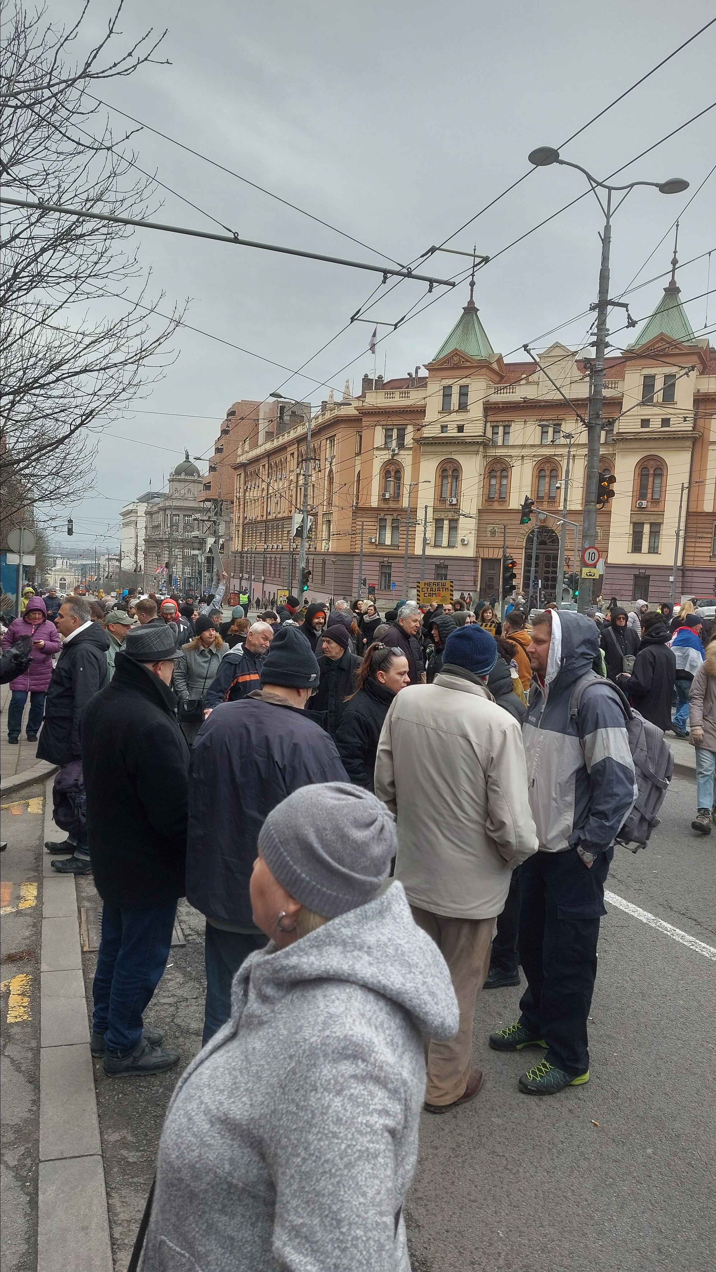 Протест због уклањања Тужитељки које истражују корупцију. Lokalni Front VA