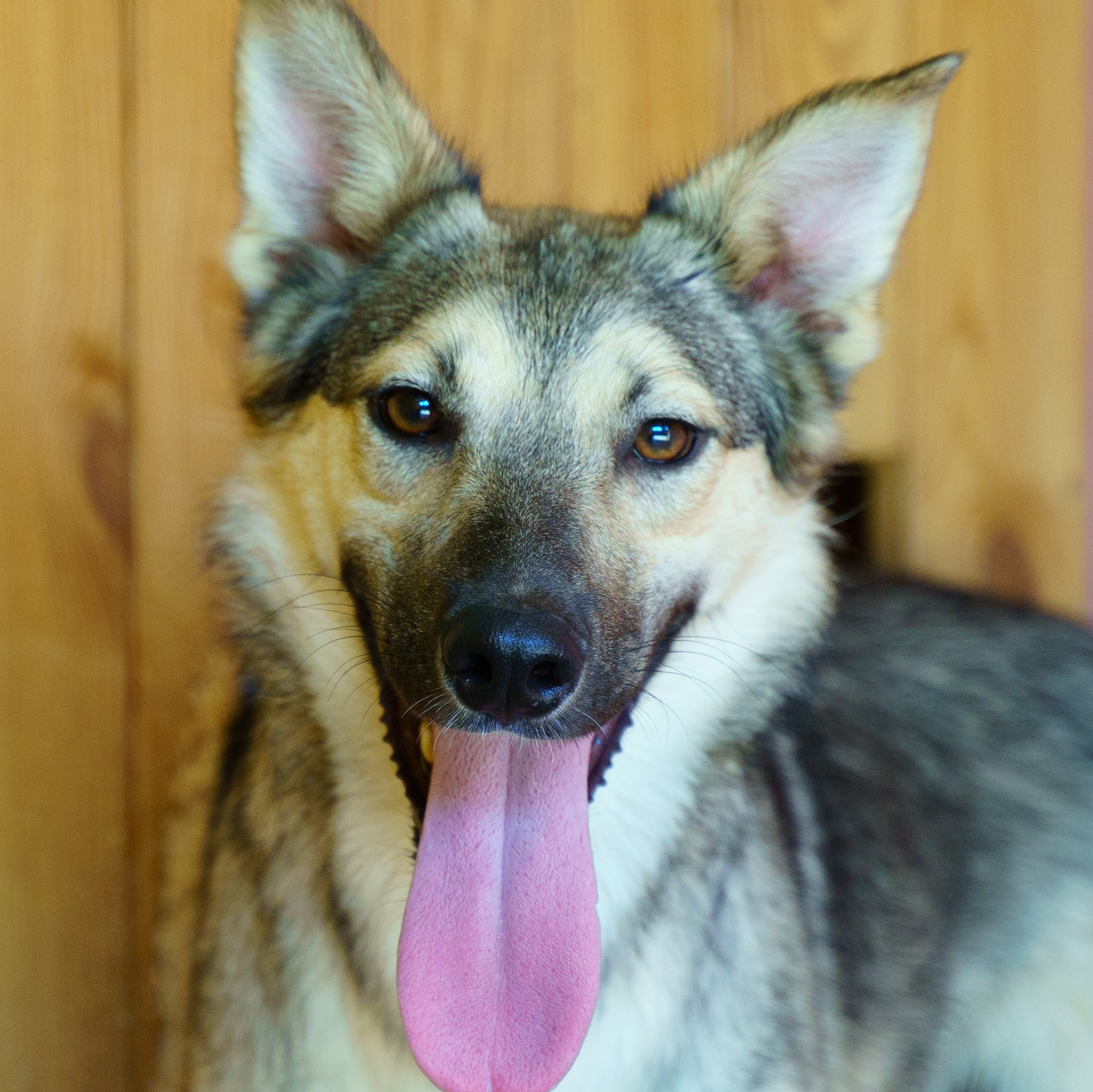 Сім’я кожному. Family photographer in Kiev Natalia Shkavron