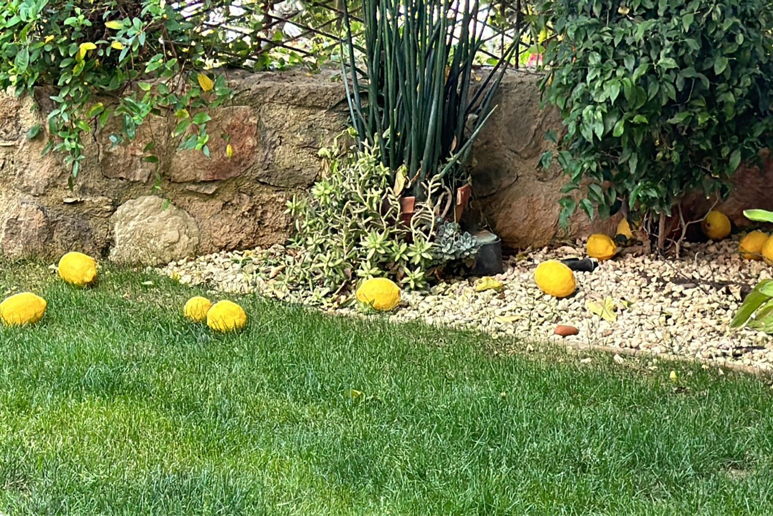 If I would be a landscape (2023-ongoing). Антонова | фото