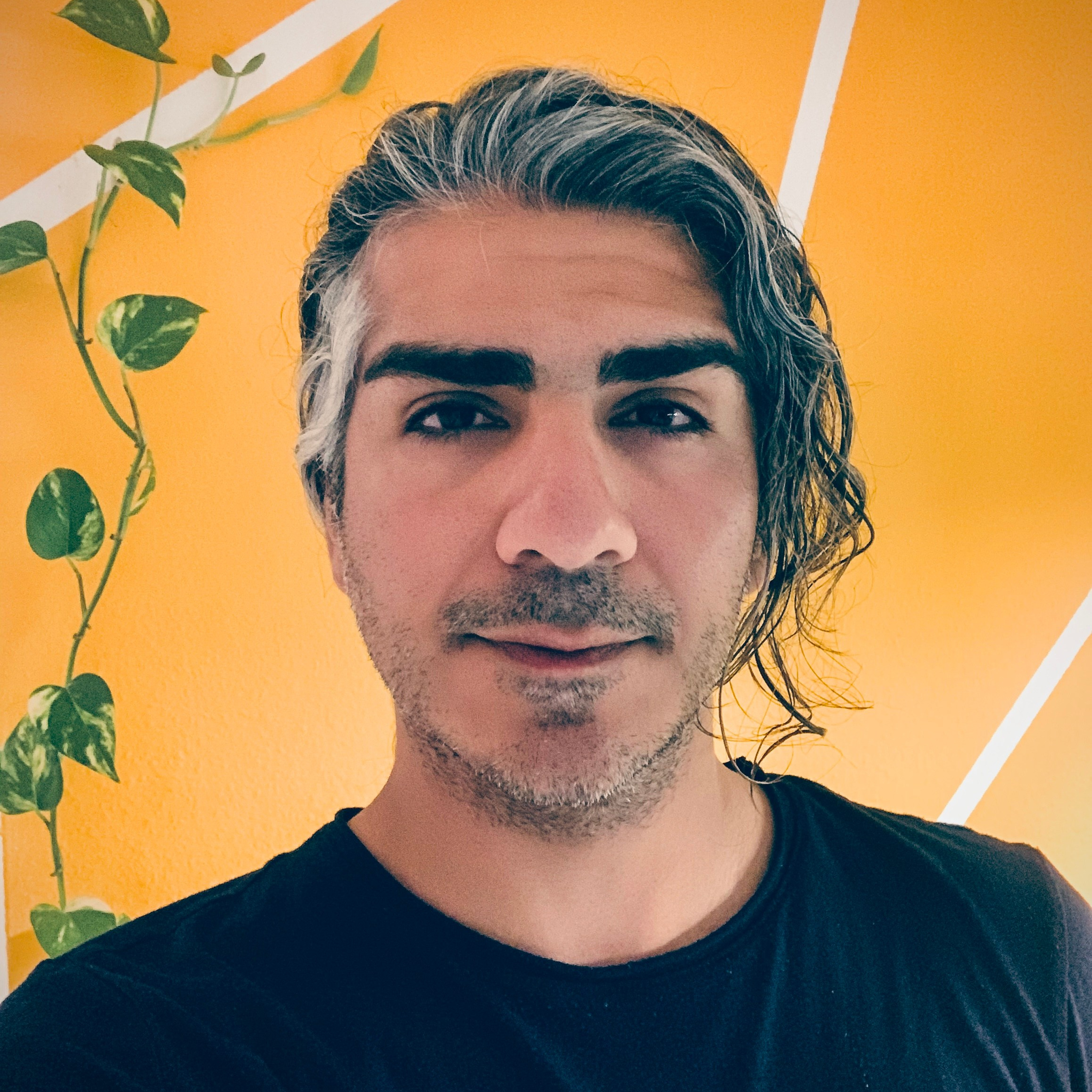 Contact. Mohammad Sahihi Benis Photography