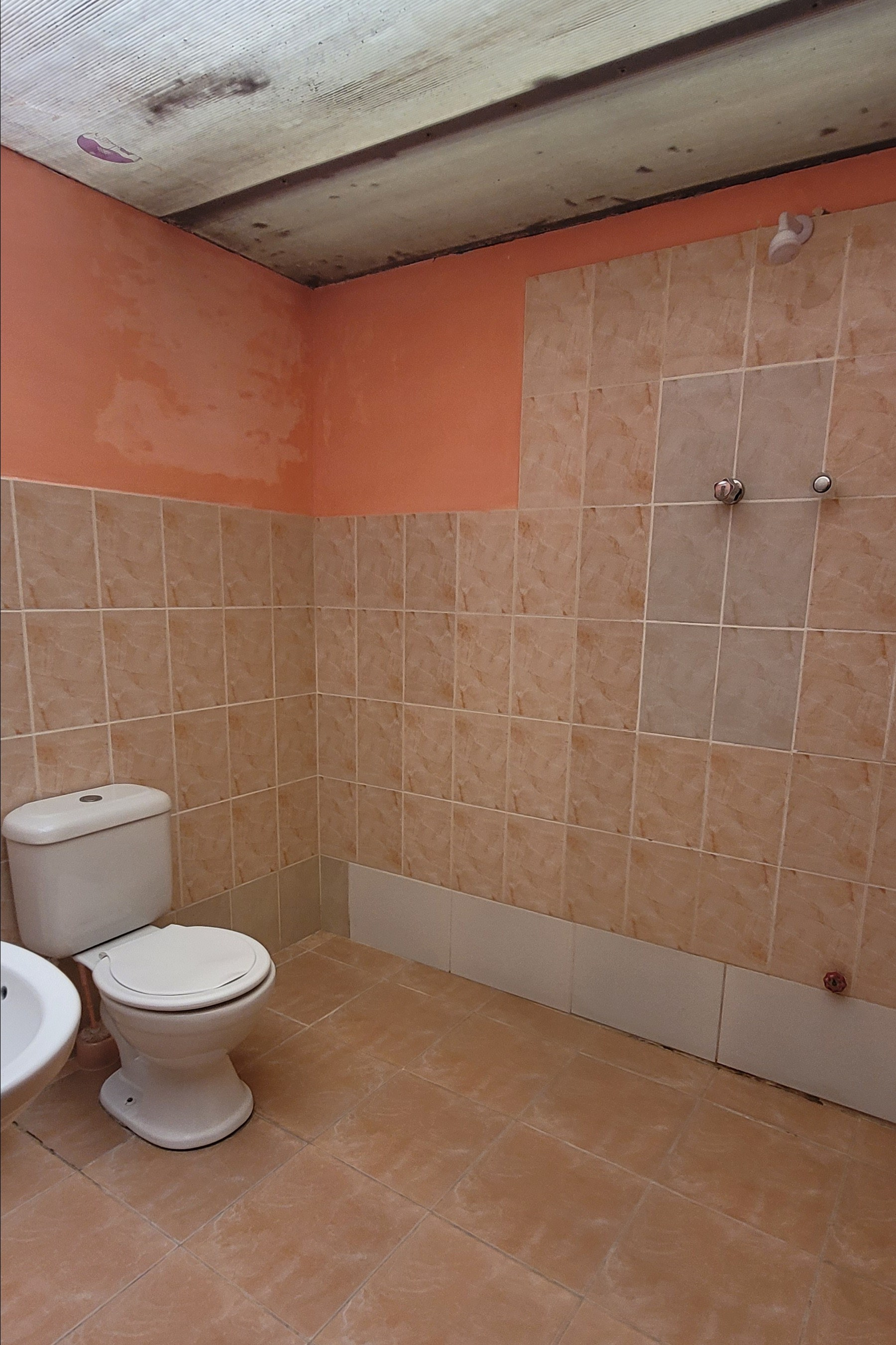 Bolivia Adventure — 2025. Pet, Senior, Landscape, portrait studio, photographer in Miami and Sou