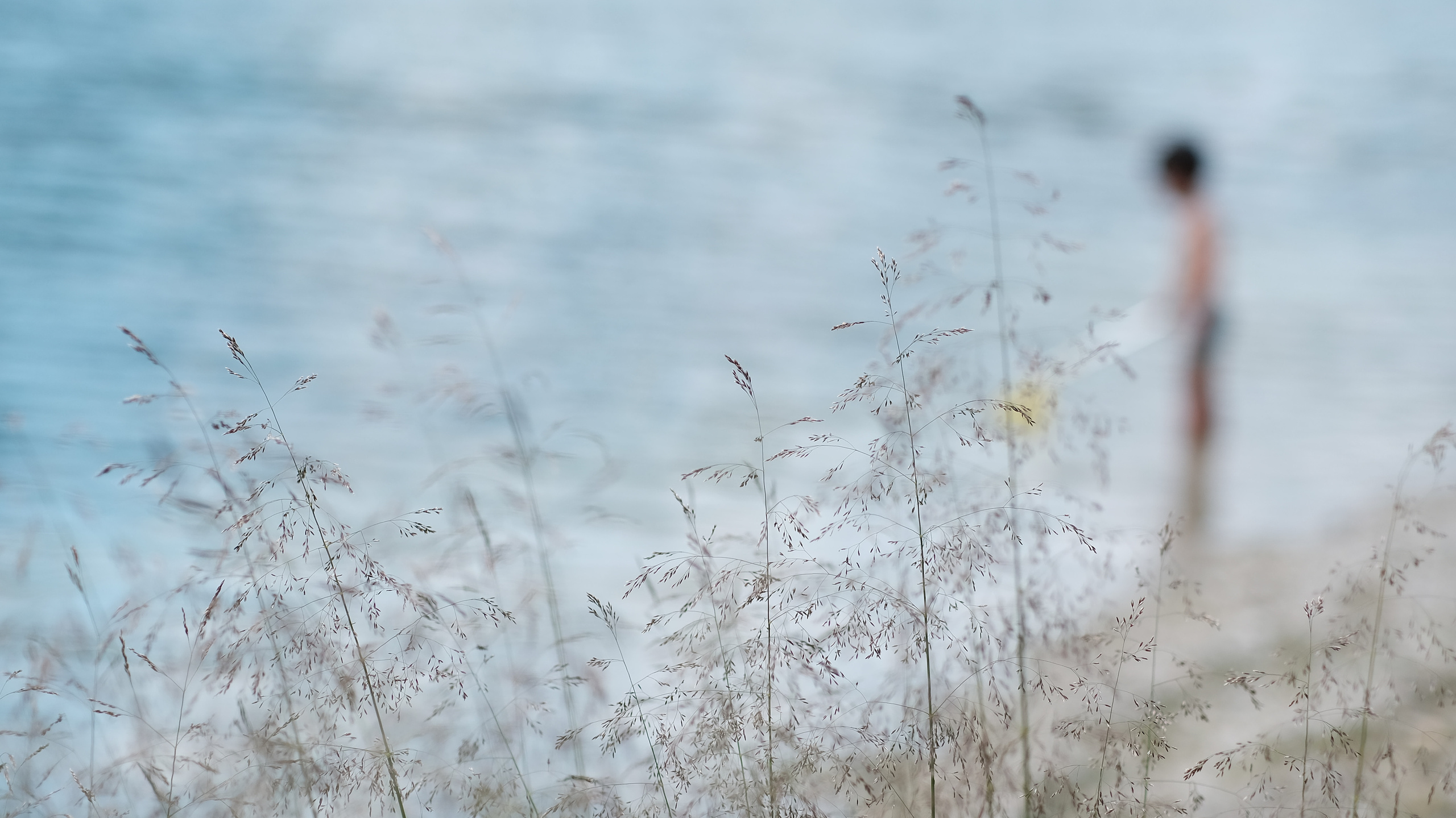 Kontaktiere Albina Vaniyants für dein Fotoshooting. Fotografin für Familienfotografie, Kinderfotografie, Portraitfotografie, und vieles mehr. Professionelle Familienfotografie, Kinderfotografie und Portraitfotografie in Linz, Oberösterreich - Albina Vaniyants, Fotografin aus OÖ