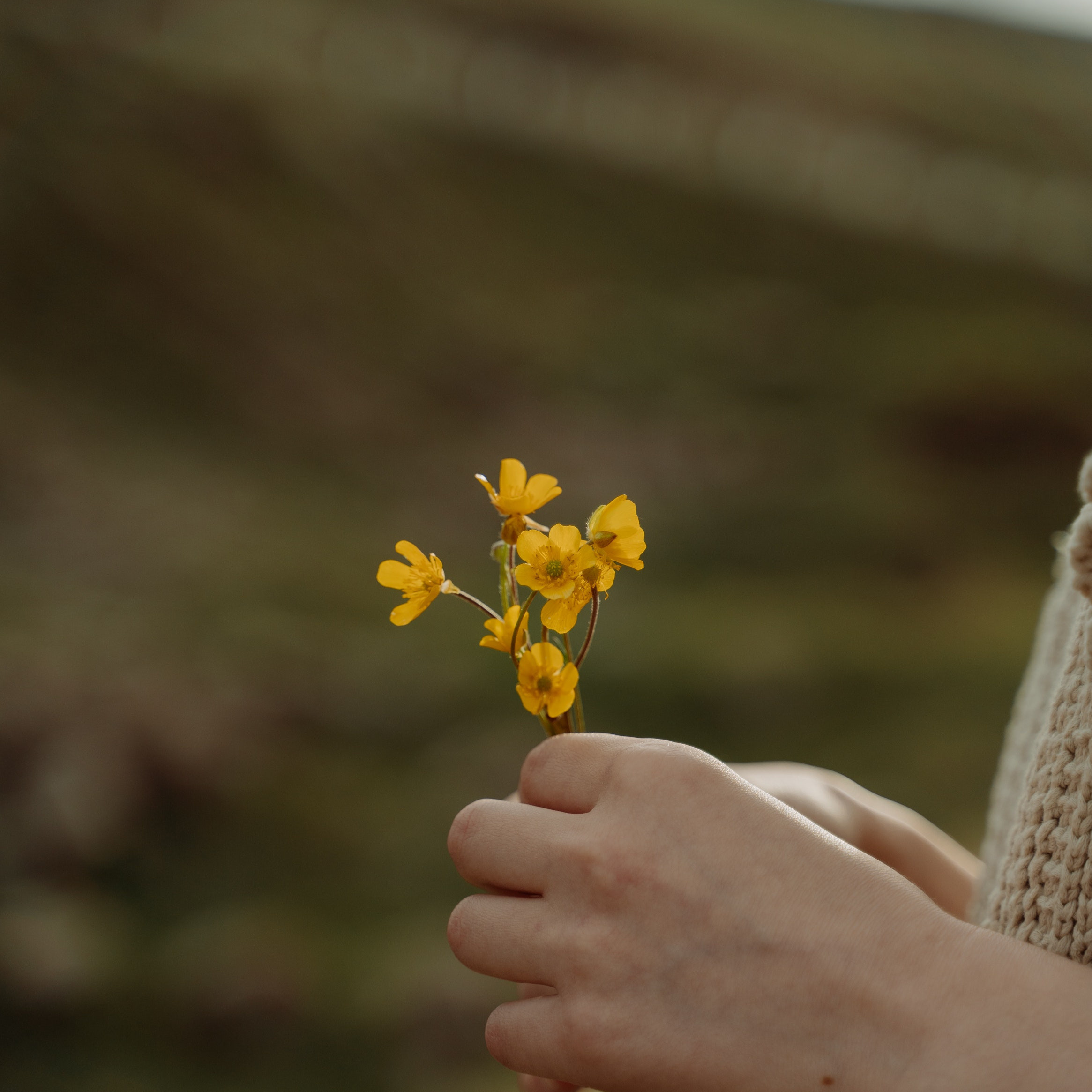Dspre Noi. PETRU BYZO - family and children photographer in ROMANIA