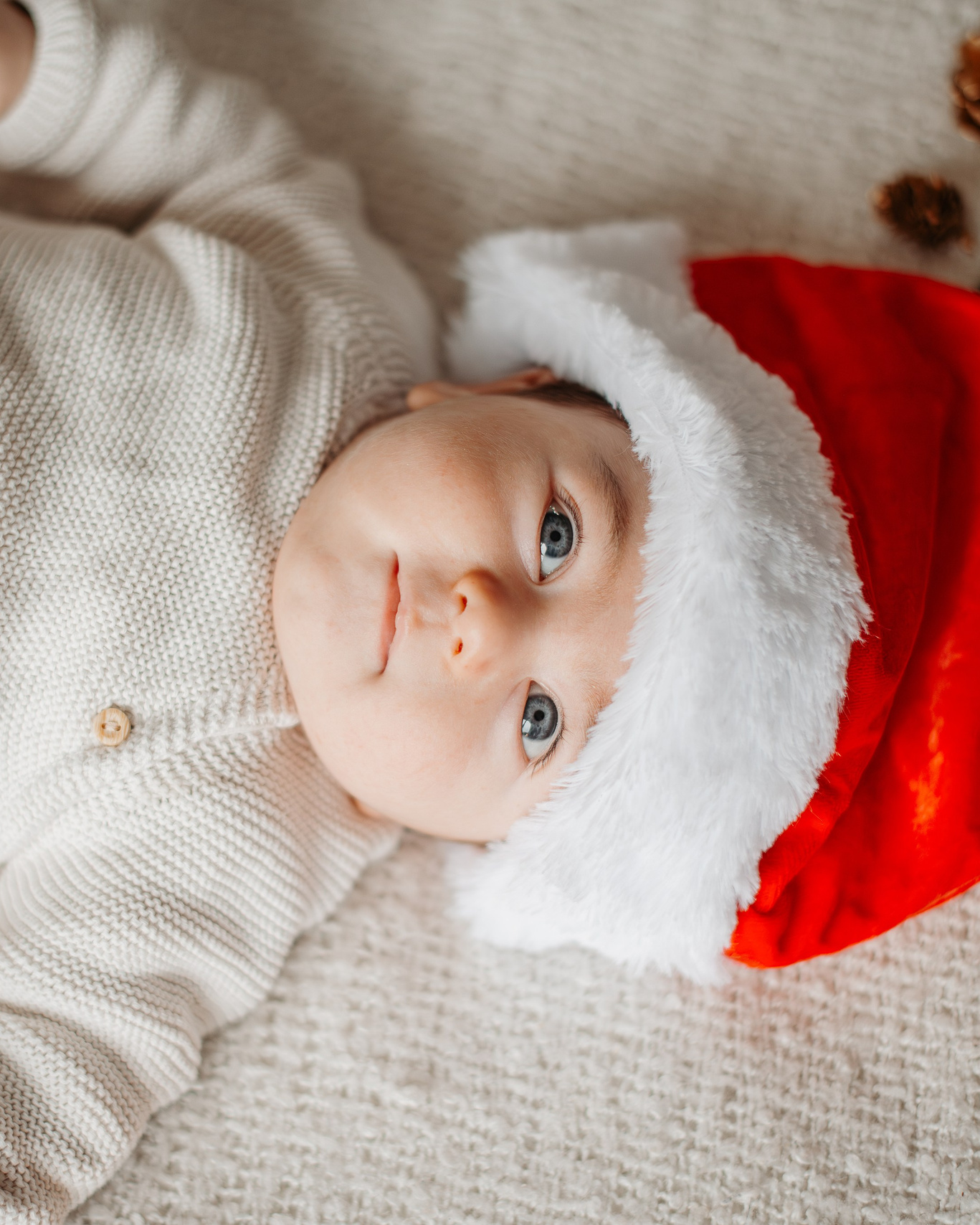 Примеры Evolution. Главная