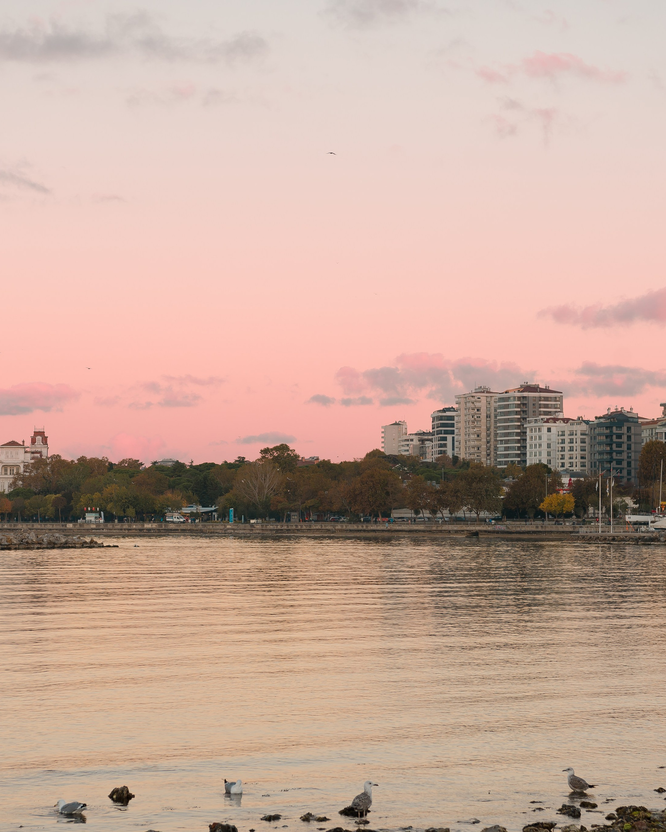 Istanbul. MARIA VALUEVA Fotógrafo en Niza, Cannes, Monaco, Francia, Europe, Estambul, Turquía
