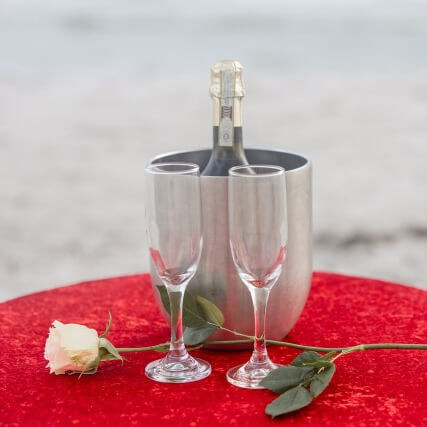 Wedding & Elopement Photographer in Tampa, FL | Liliia Koval