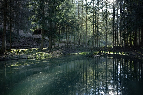 Waldsee im Seepark Kirchheim Hessen