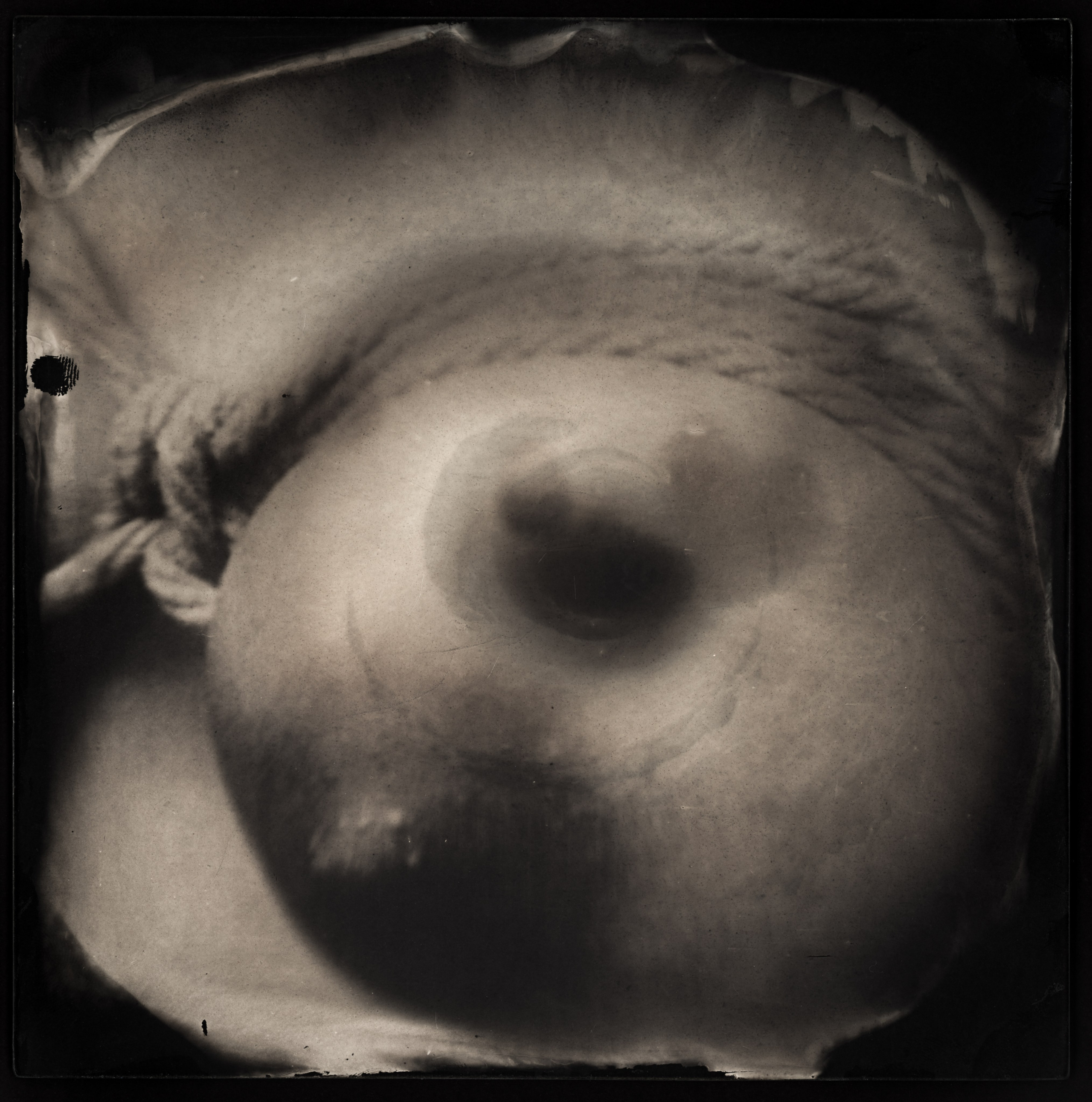 NODUS. Adriano Escanhuela — Experimental