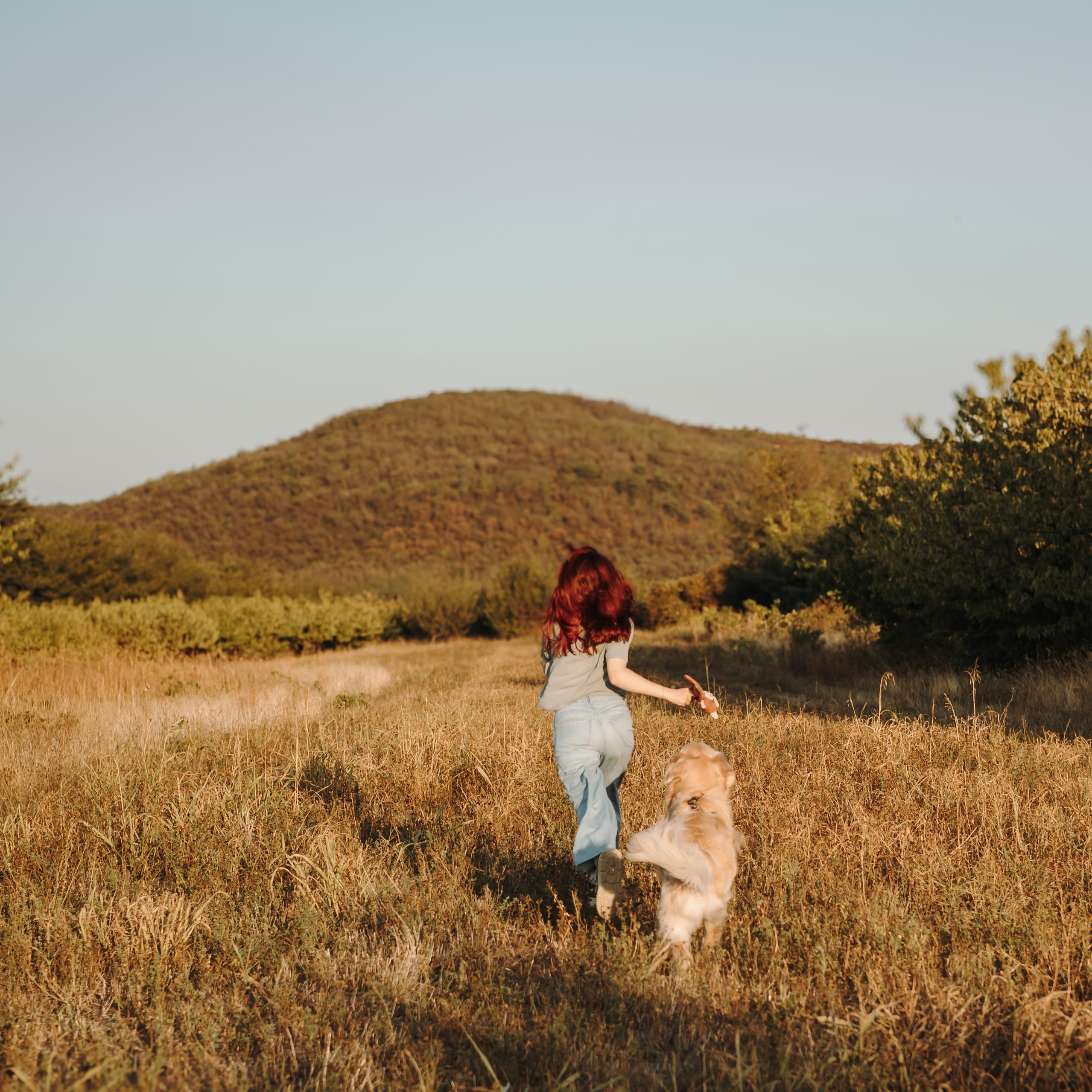 Обо мне. Фотограф-анималист | Белград