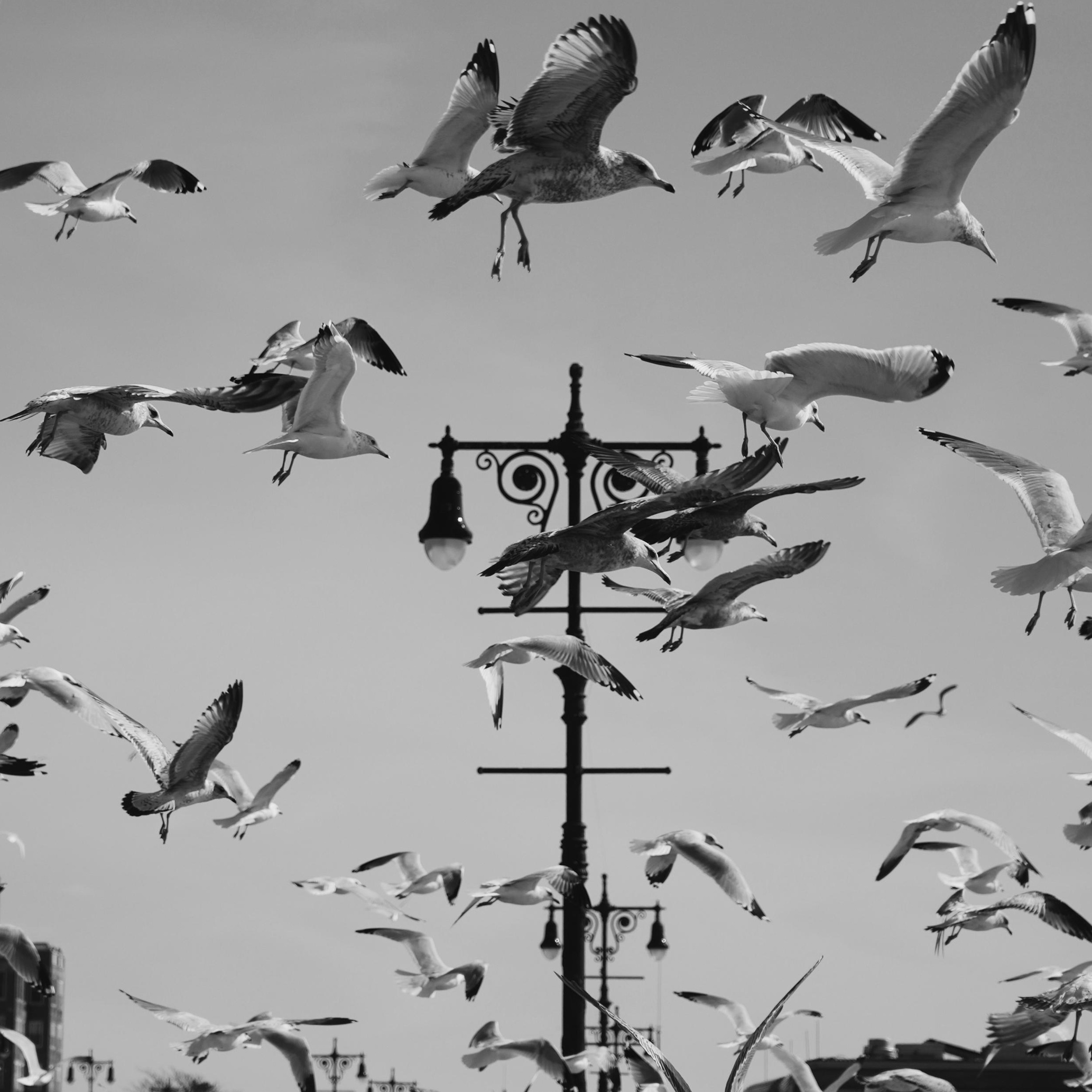 Contact. Dash_photopic.I’m Daria New York based photographer