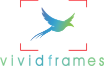 vividframes.in