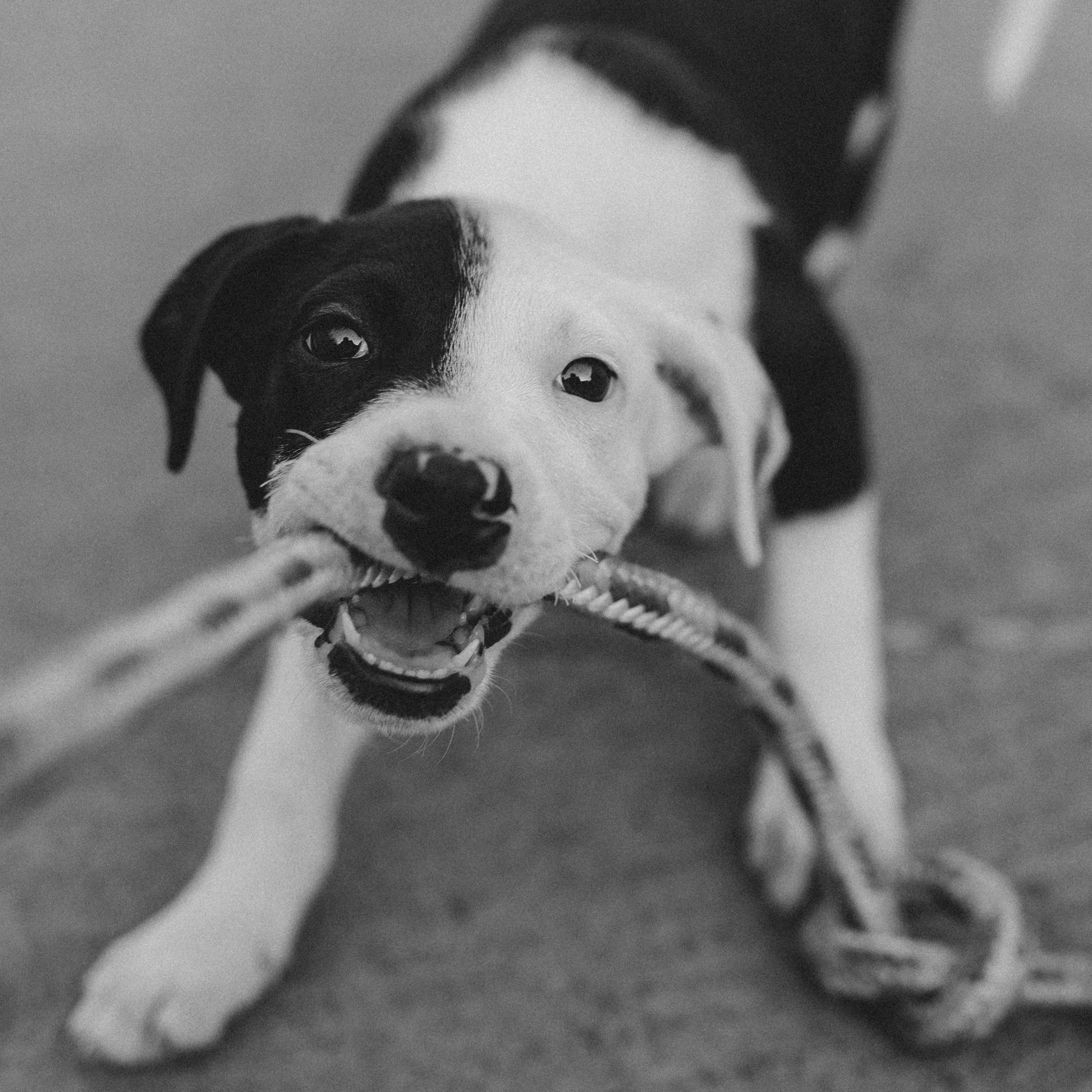 Sobre. Prazer, eu sou o Tiago Mokrejs, apaixonado por fotografia e café
