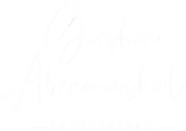 gershonabramashvili.com