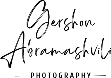 gershonabramashvili.com