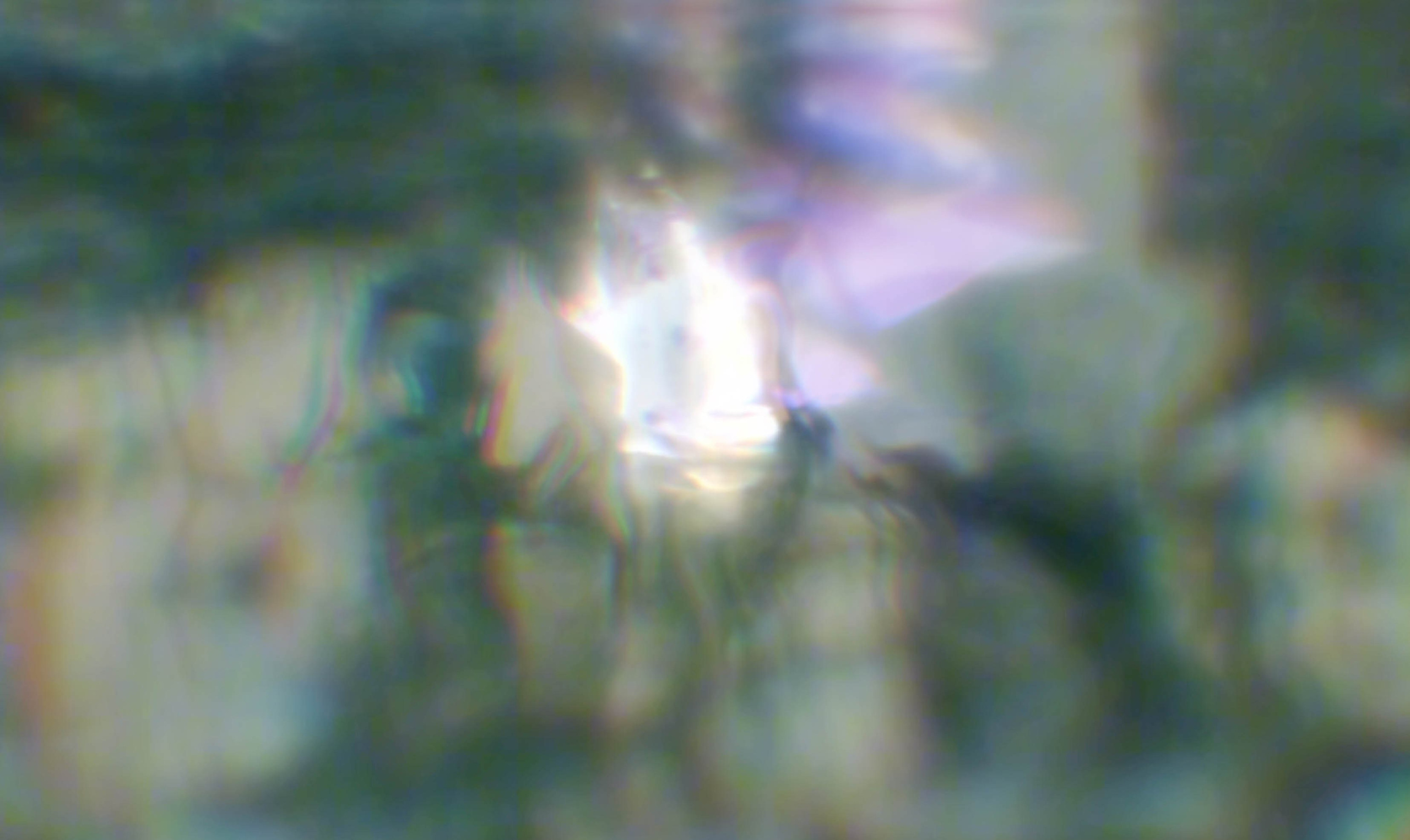 Portfolio. Tanya Kolser — Visual Artist, Director