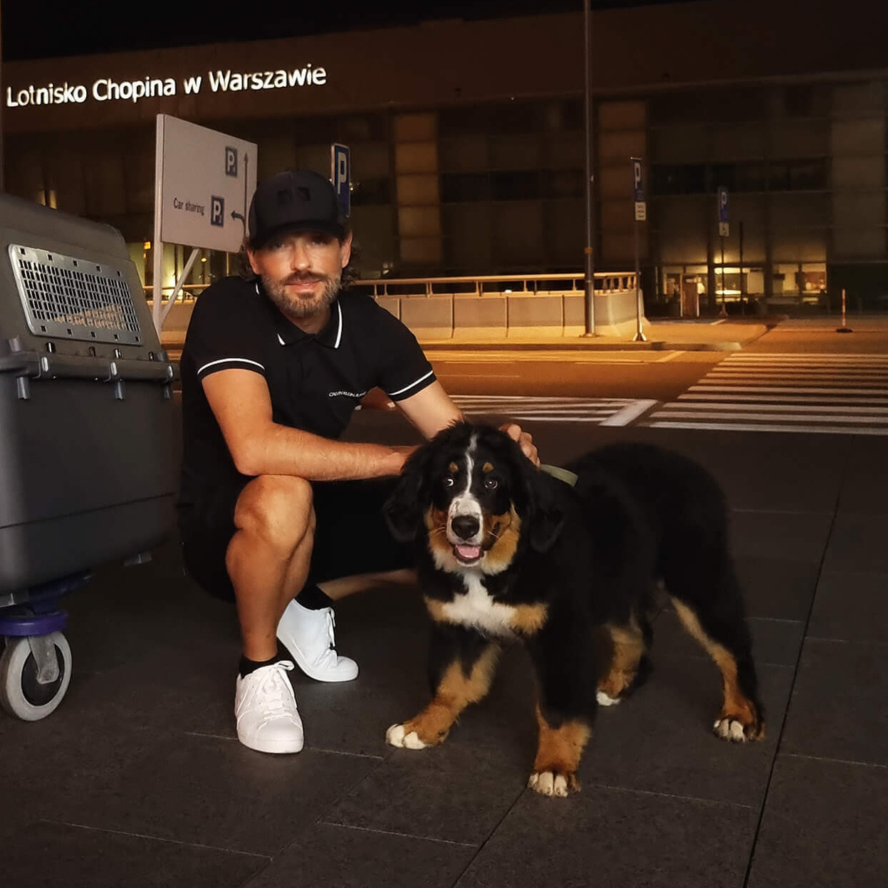 О компании. Перевозка животных с оформлением и сопровождением. Перевозка, доставка домашних животных