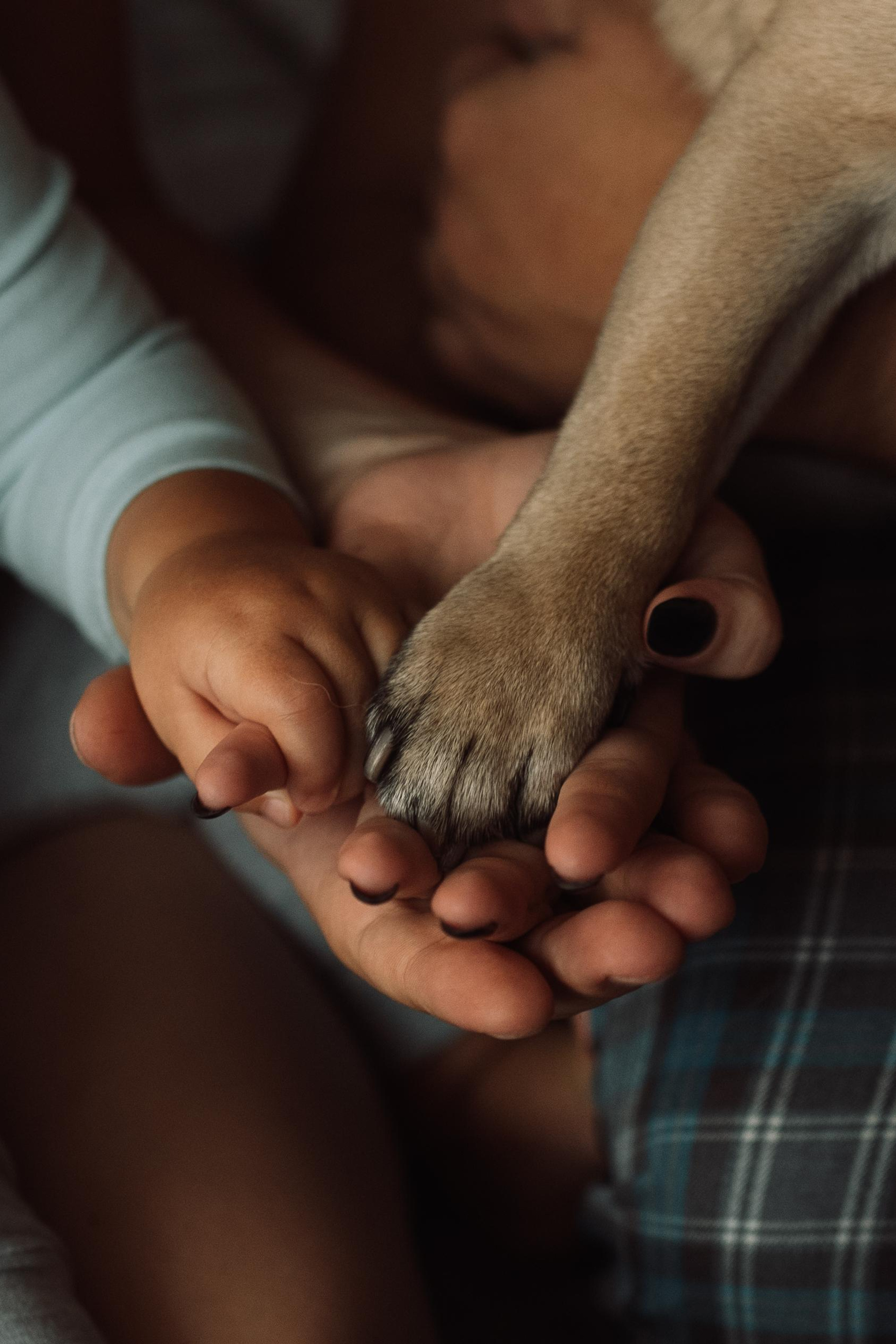 Прекрасная Маргарита. Татьяна Малышева — семейный фотограф и видеограф в Валенсии, Испания