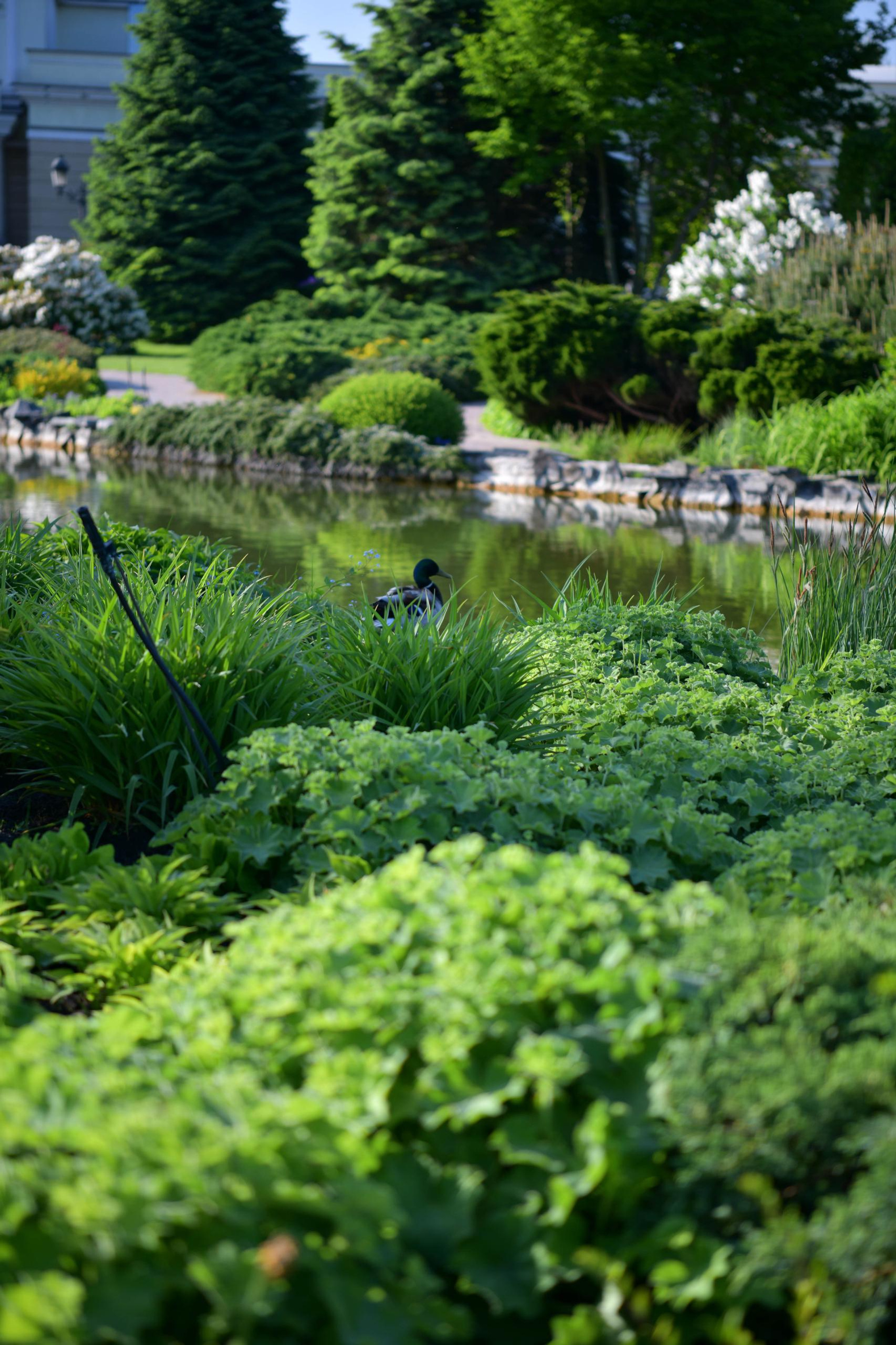 Відгуки. Репортажний та сімейний фотограф Дар’я Хорошавцева