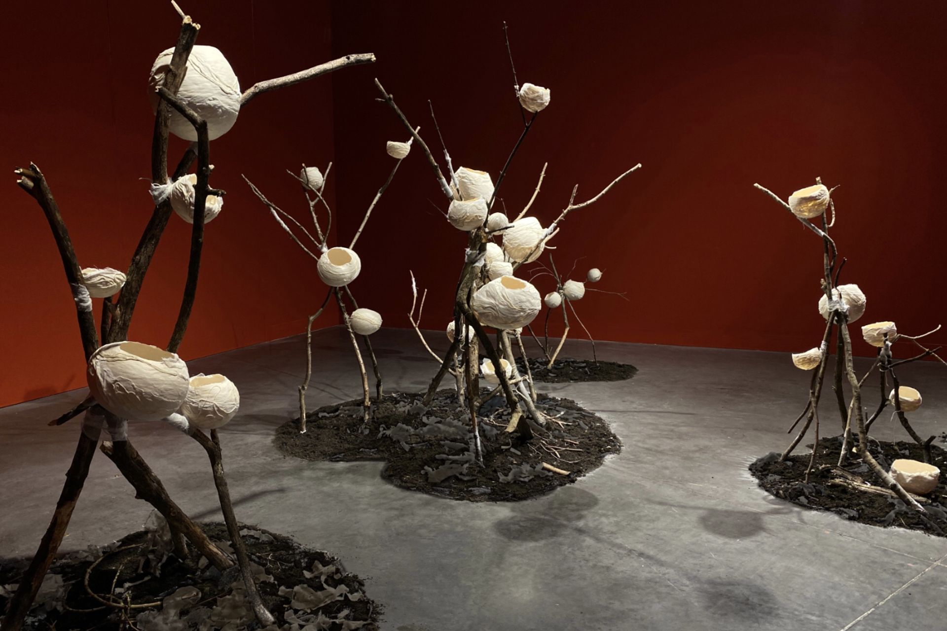 Le&nbsp;TRACé&nbsp;— Centre du&nbsp;Graphisme.2024