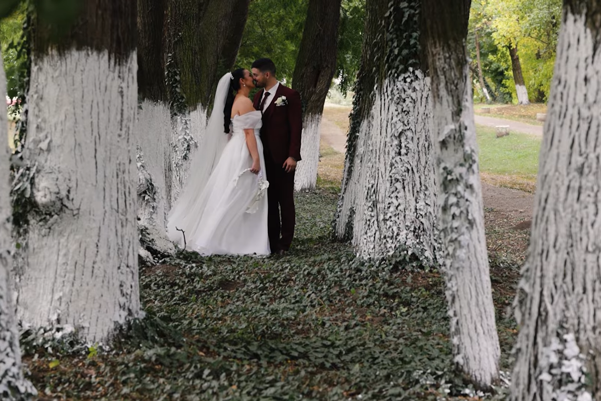 Aleksandar Šećerov photographer and videographer in Subotica, Serbia