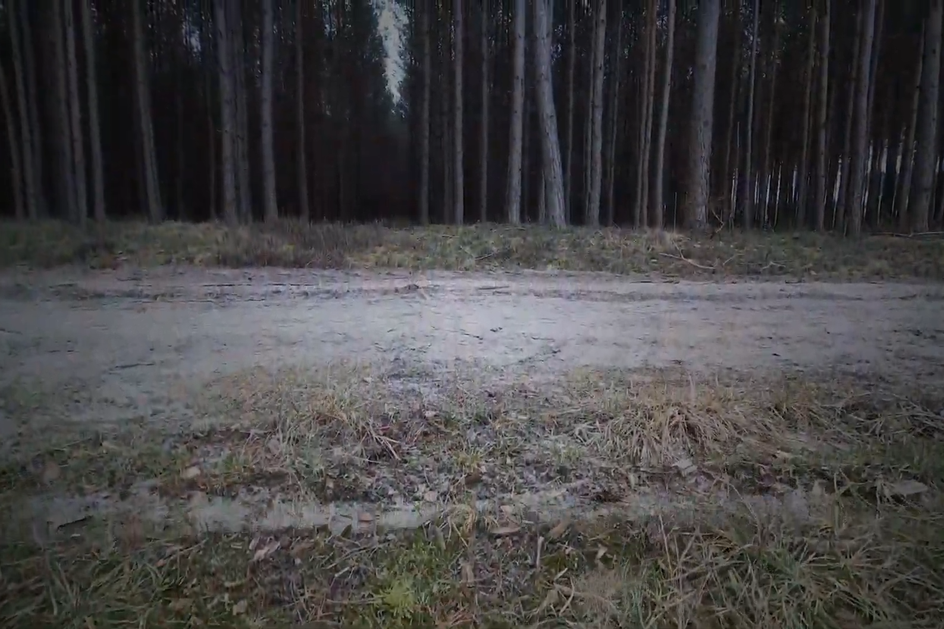 Video. Przemek P Kaczmarek