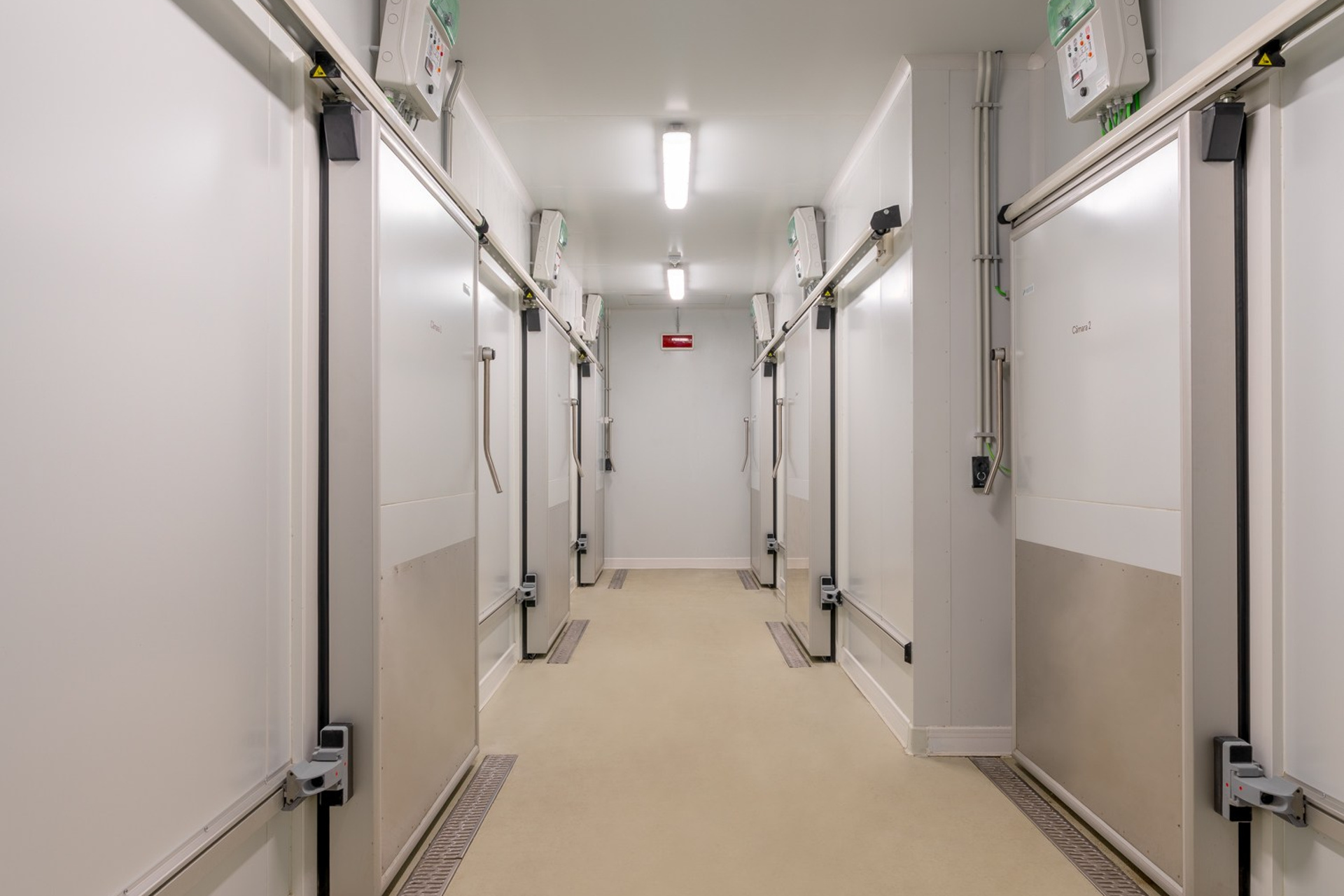 Mercado do Bolhão. André Fontoura