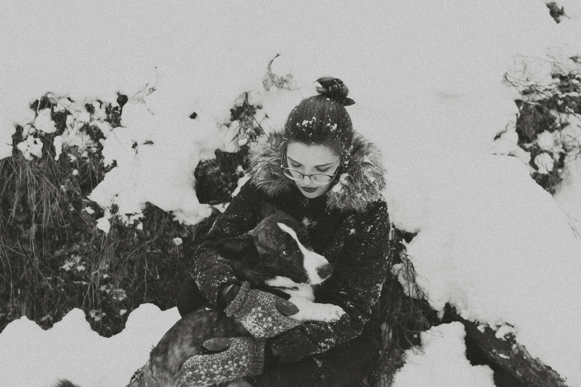 DOGS and their HUMANS. Photographer and videographer in Tel Aviv Mary Pann